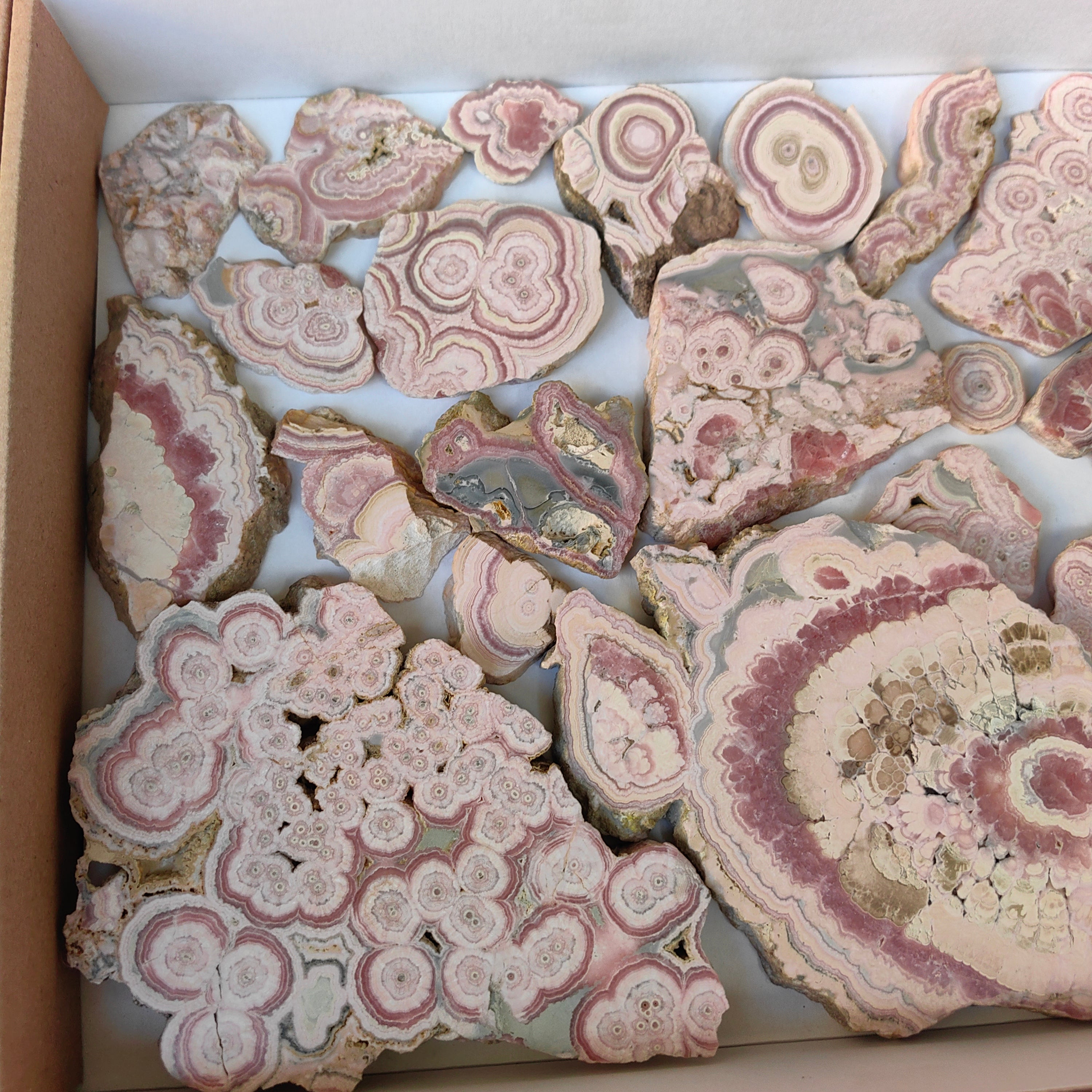Lot 25 pcs Rhodochrosite Slices