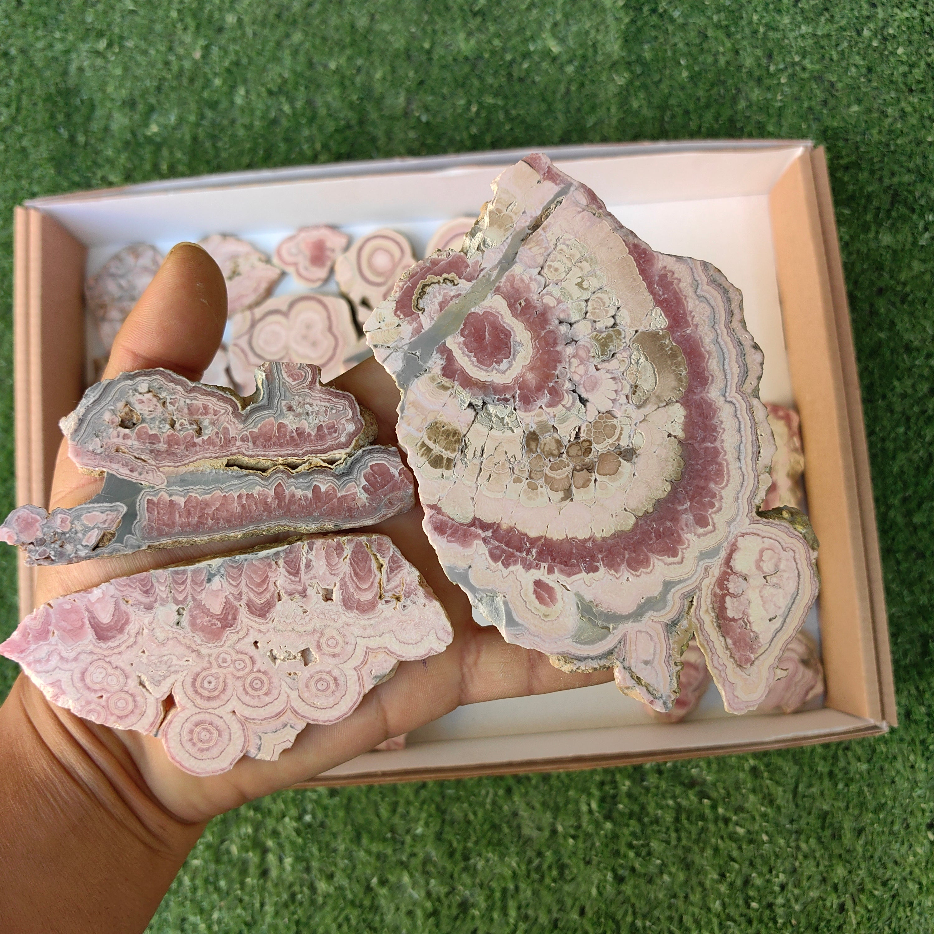 Lot 25 pcs Rhodochrosite Slices