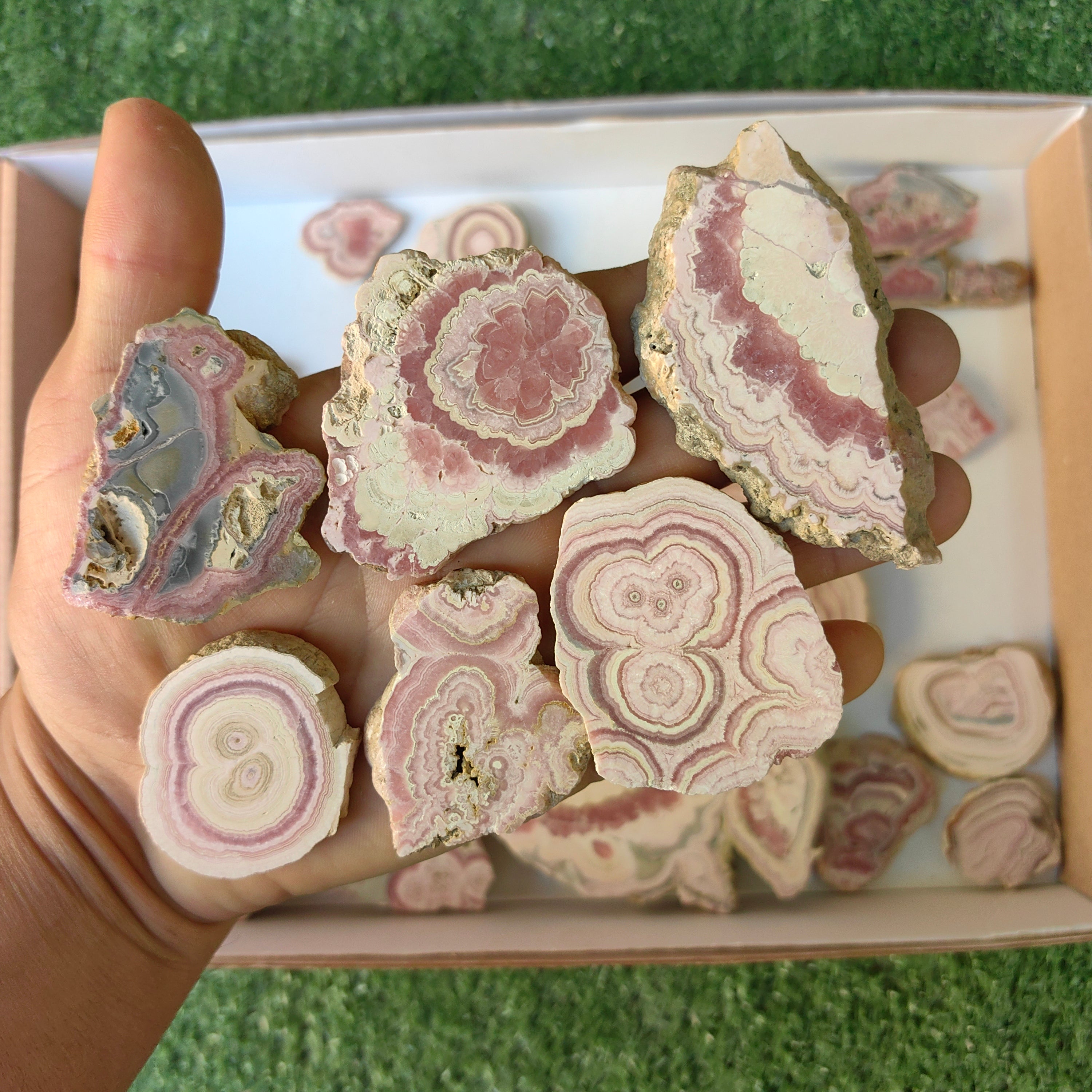 Lot 25 pcs Rhodochrosite Slices