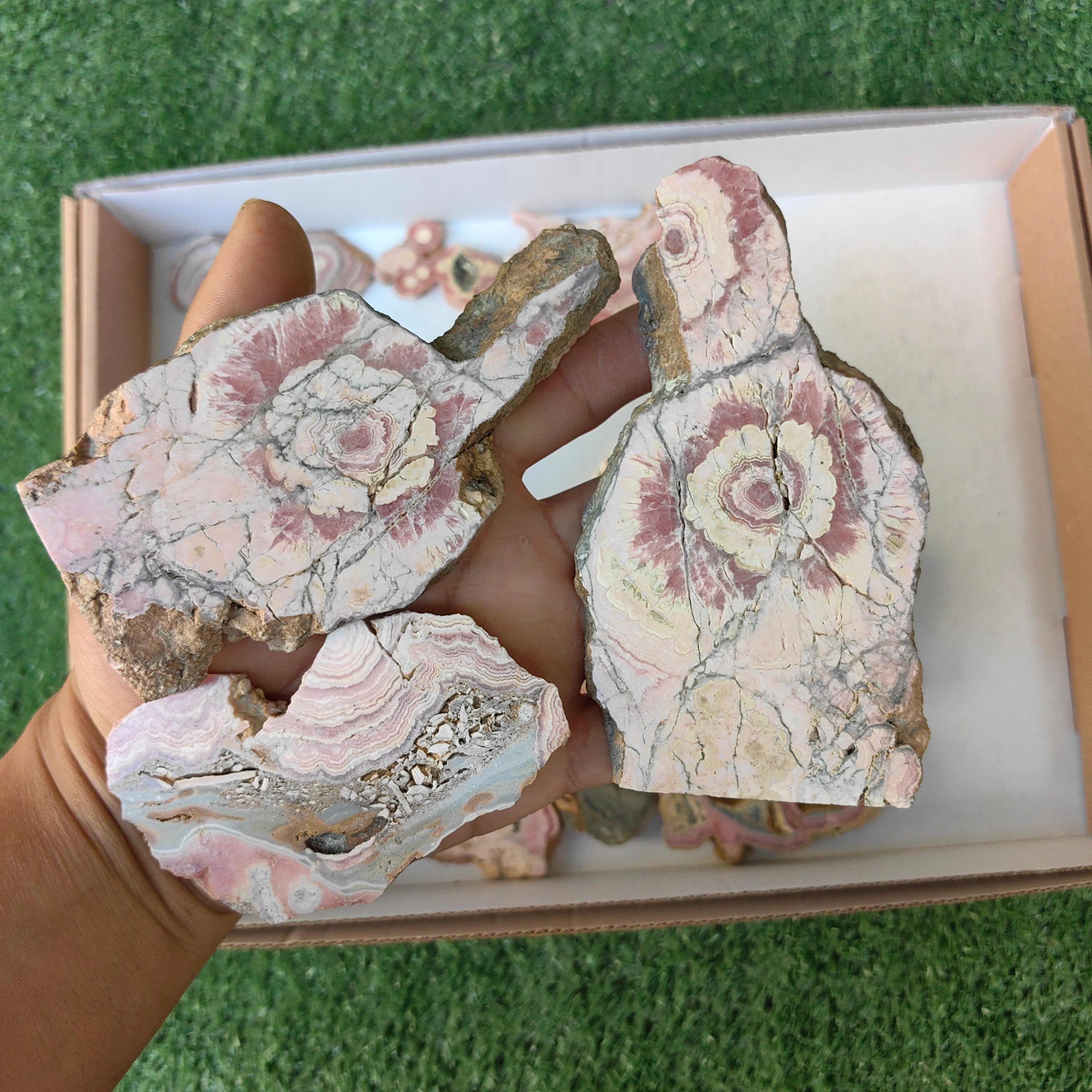Lot 20 pcs Rhodochrosite Slices