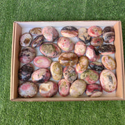 Lot 31 pcs Strawberry Pink Opal Palm