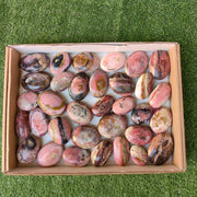 Lot 33 pcs Strawberry Pink Opal Palm