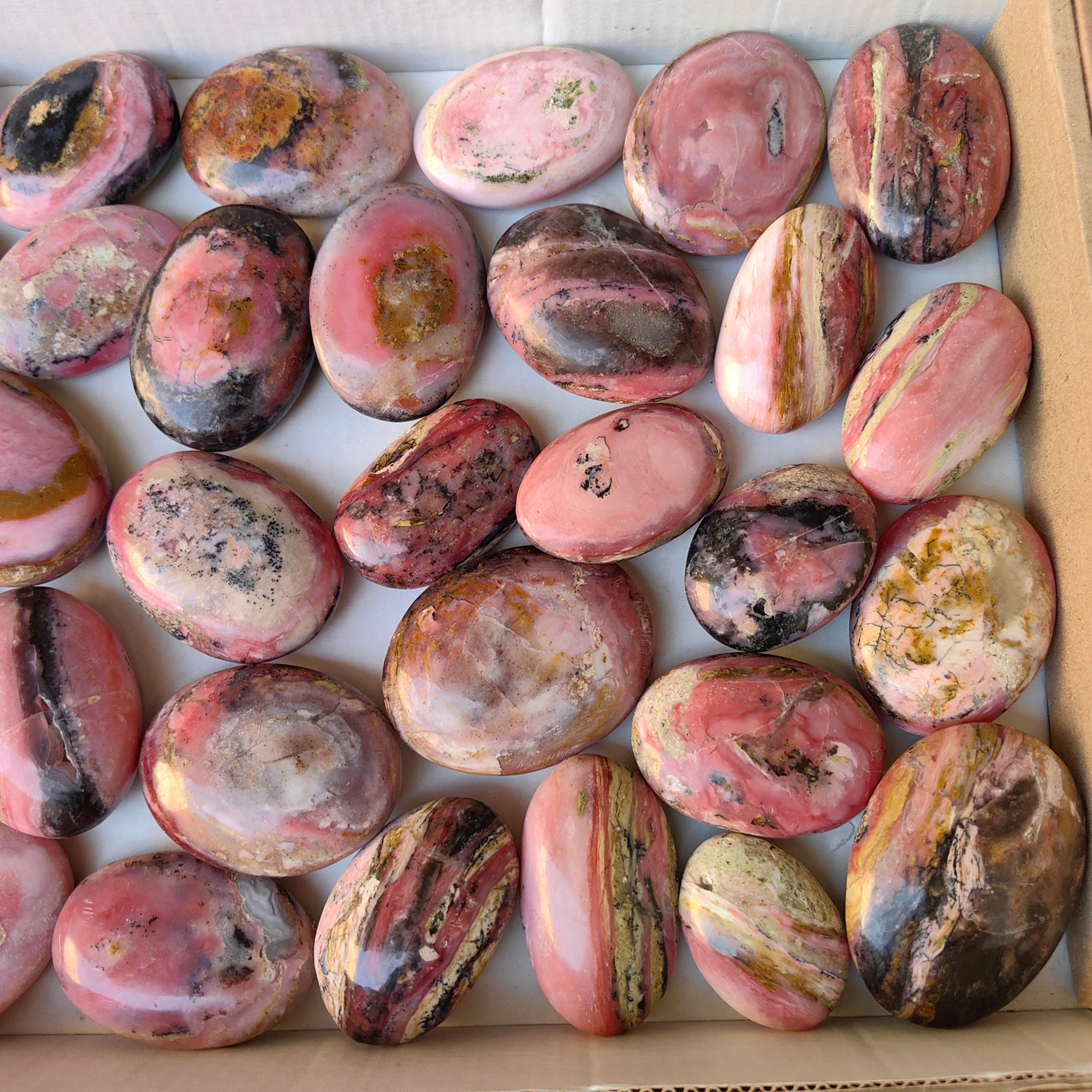 Lot 33 pcs Strawberry Pink Opal Palm