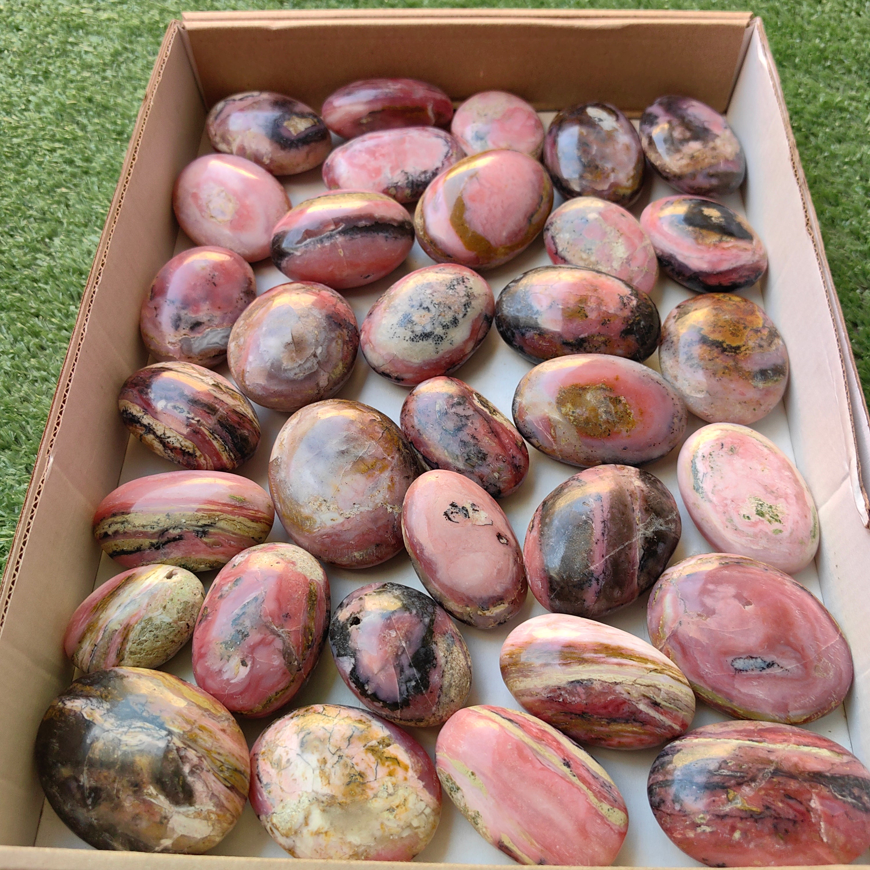 Lot 33 pcs Strawberry Pink Opal Palm