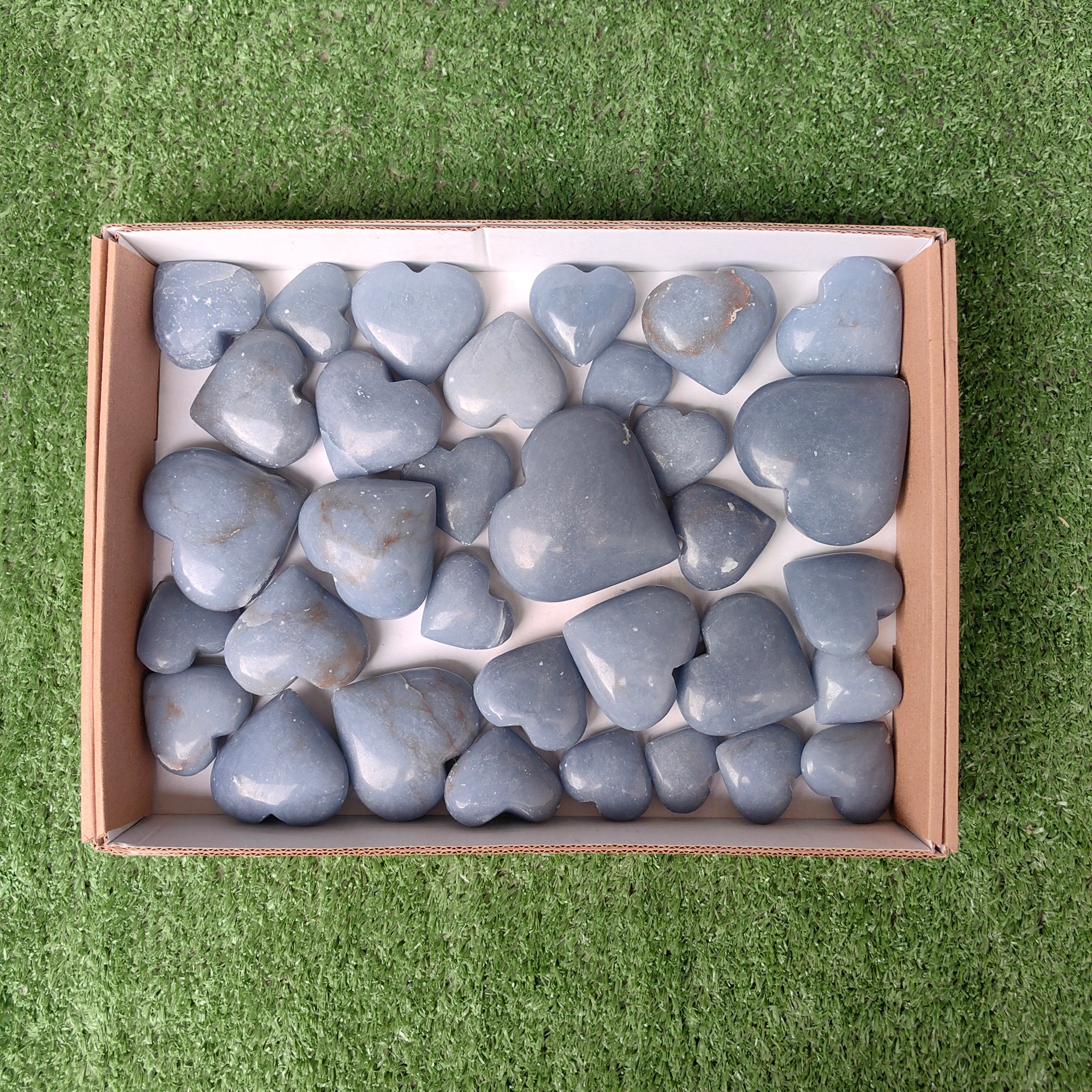Lot 33 pcs Angelite Palm