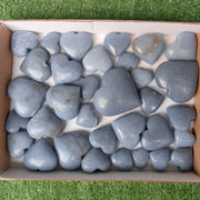 Lot 33 pcs Angelite Palm