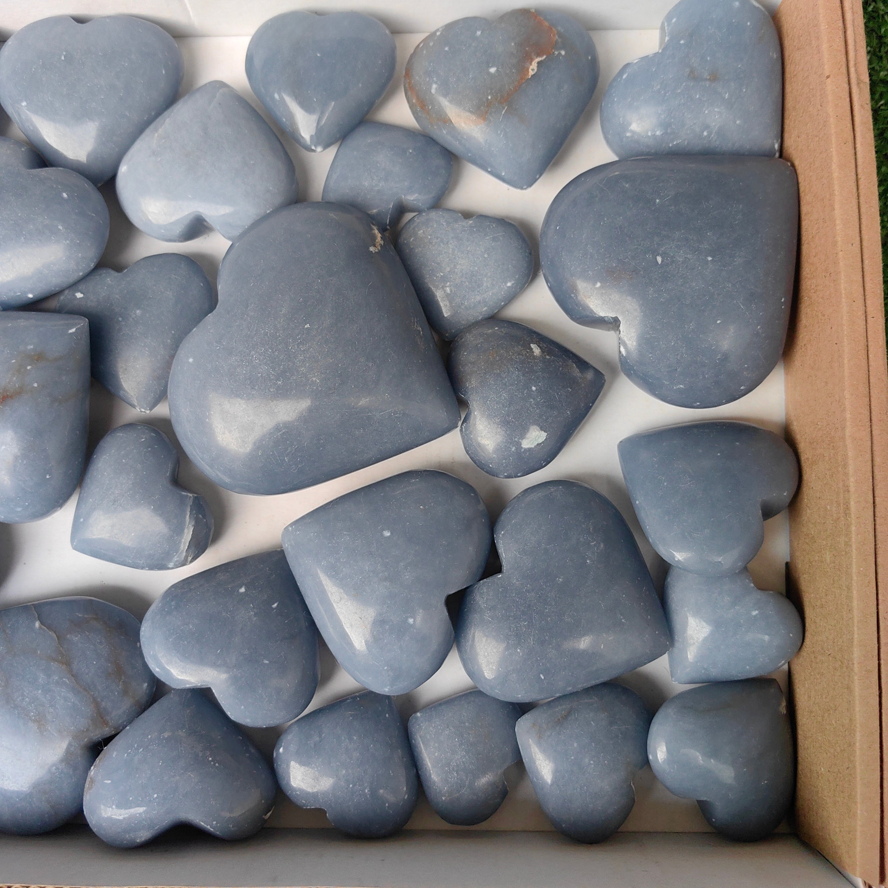 Lot 33 pcs Angelite Palm