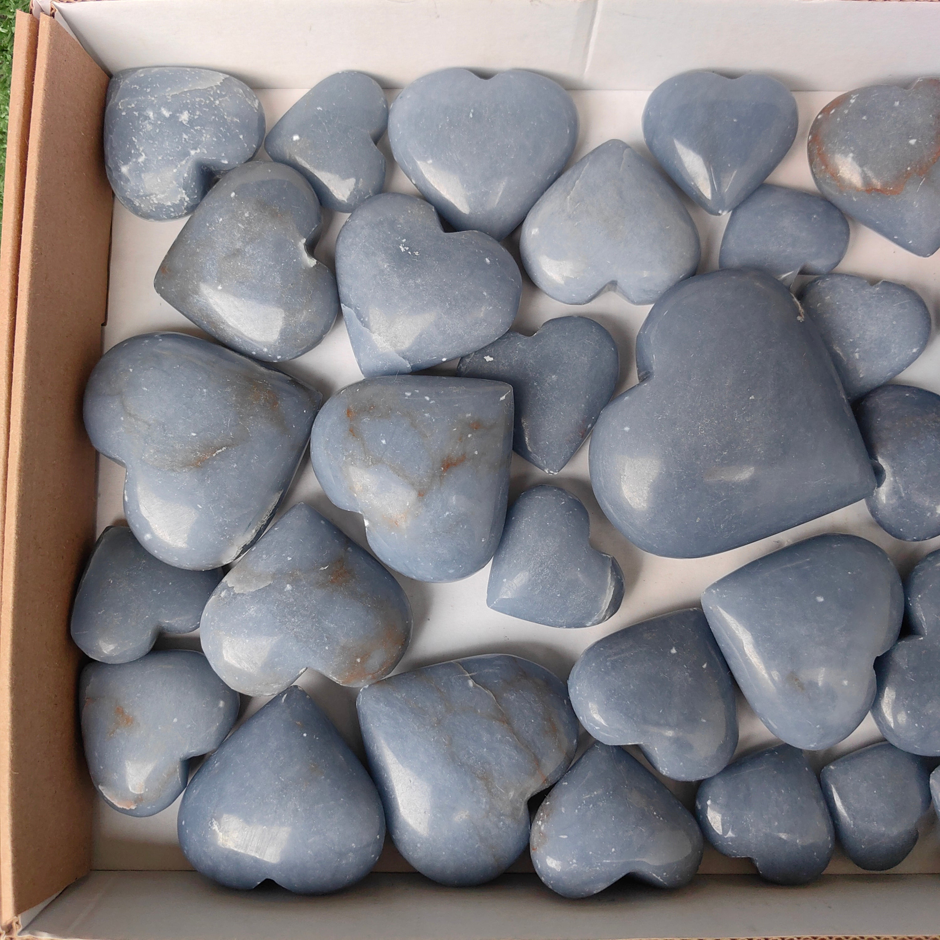 Lot 33 pcs Angelite Palm