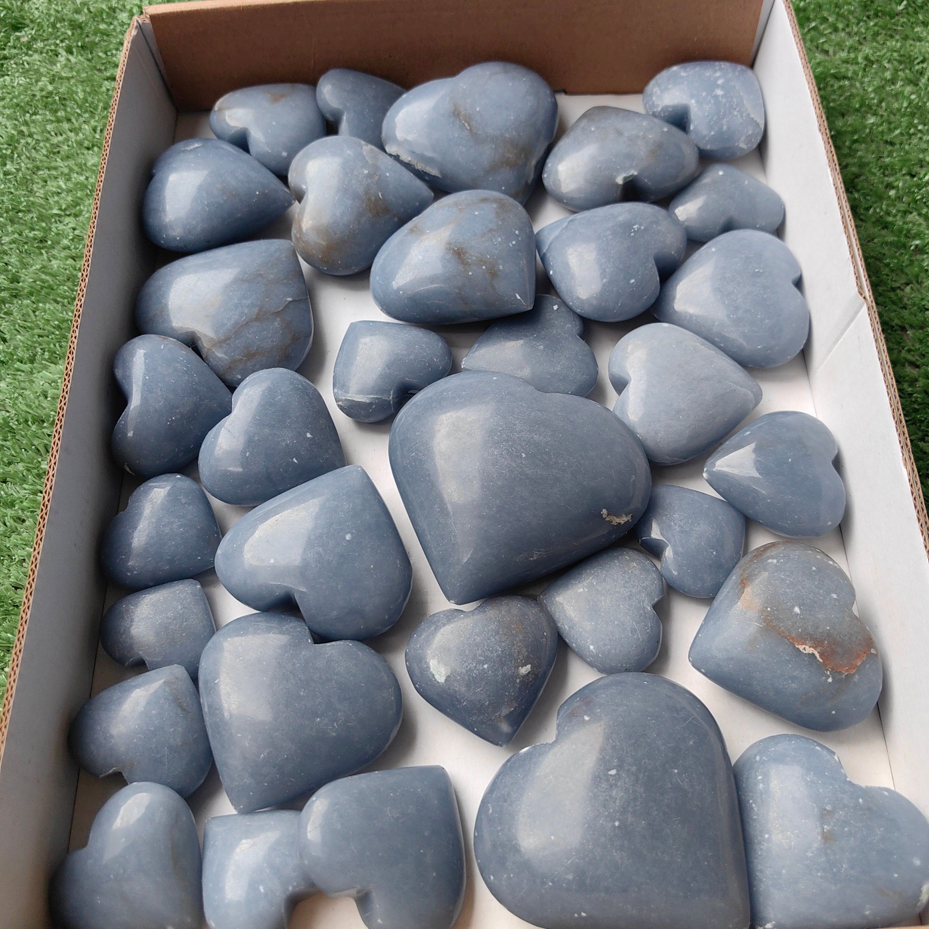 Lot 33 pcs Angelite Palm