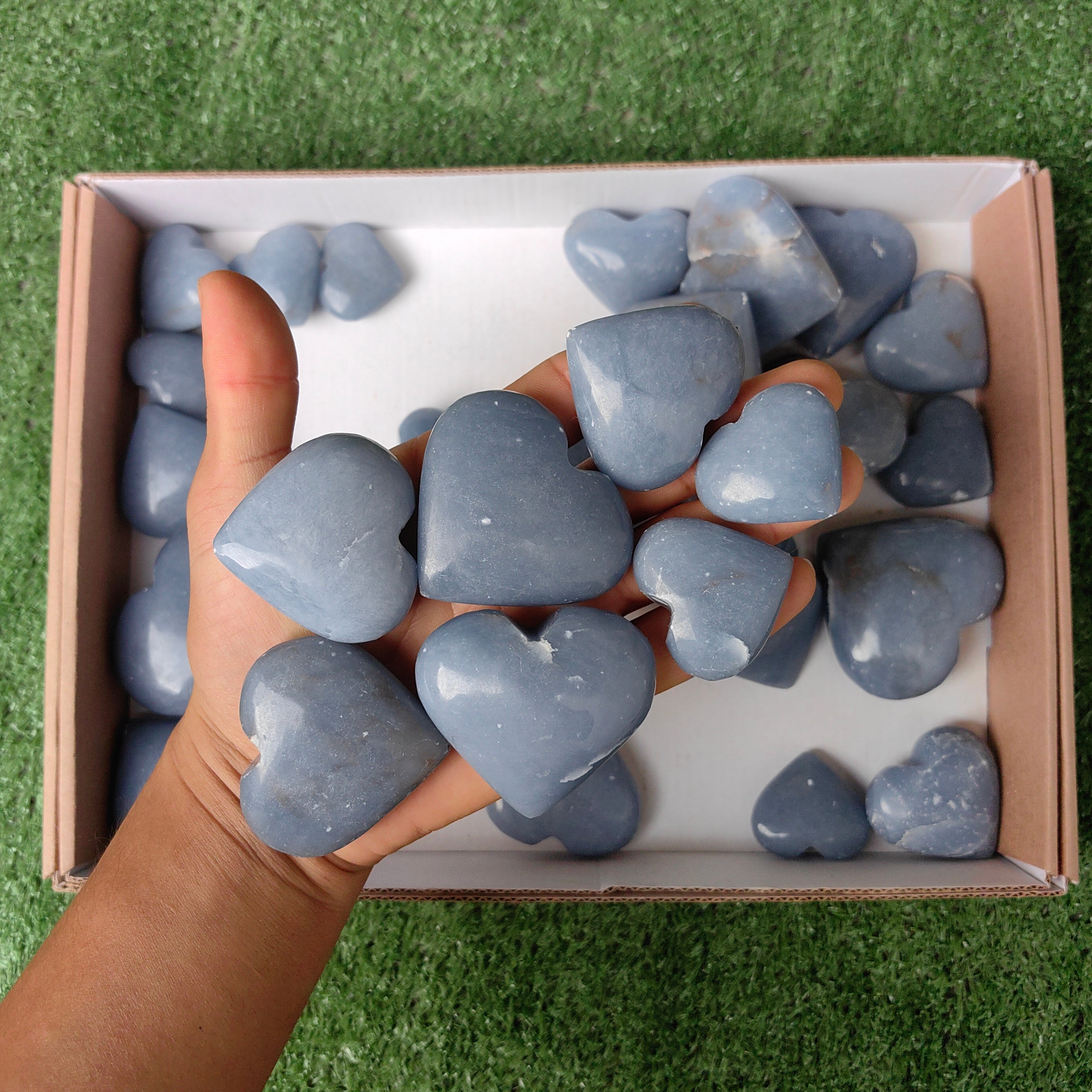 Lot 33 pcs Angelite Palm