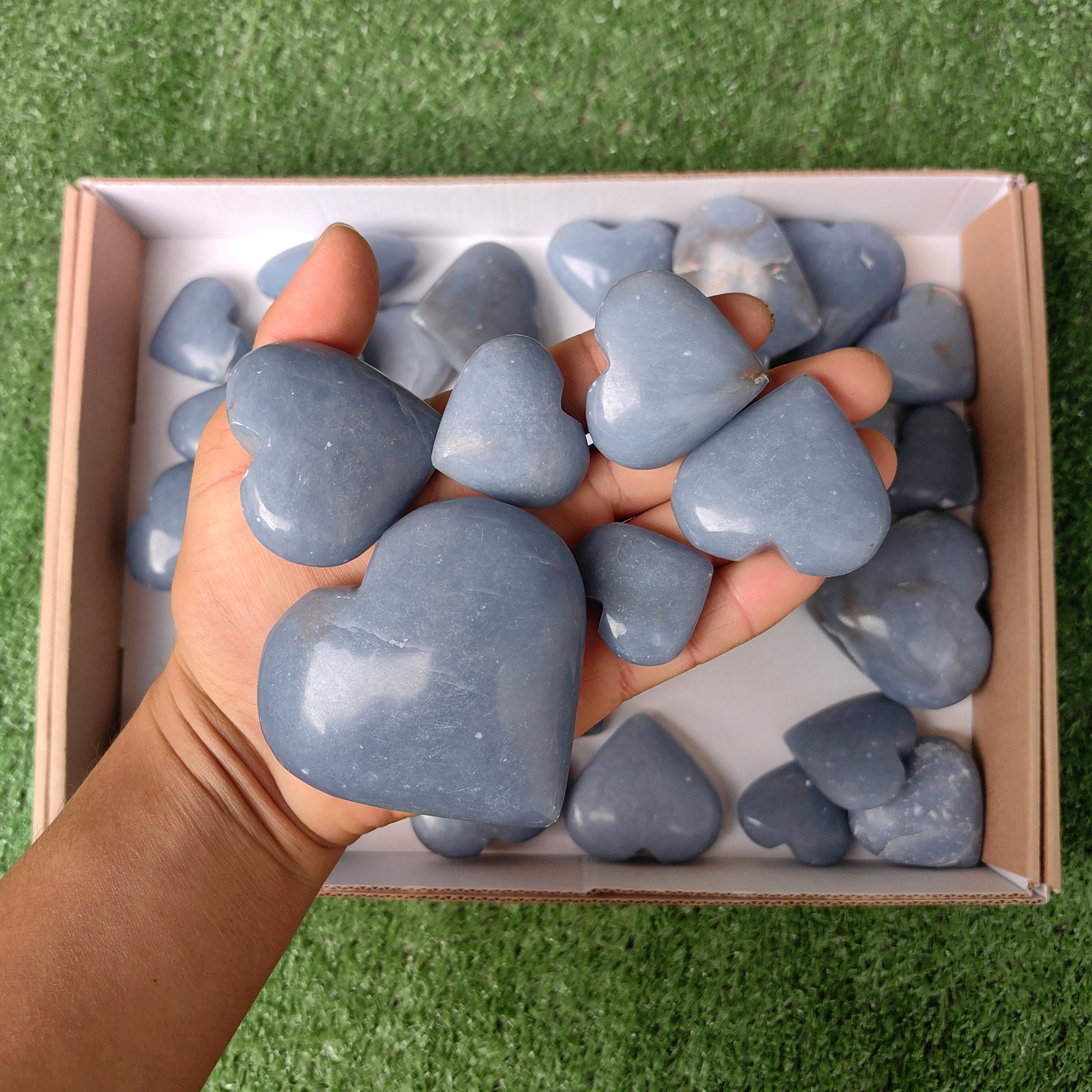 Lot 33 pcs Angelite Palm