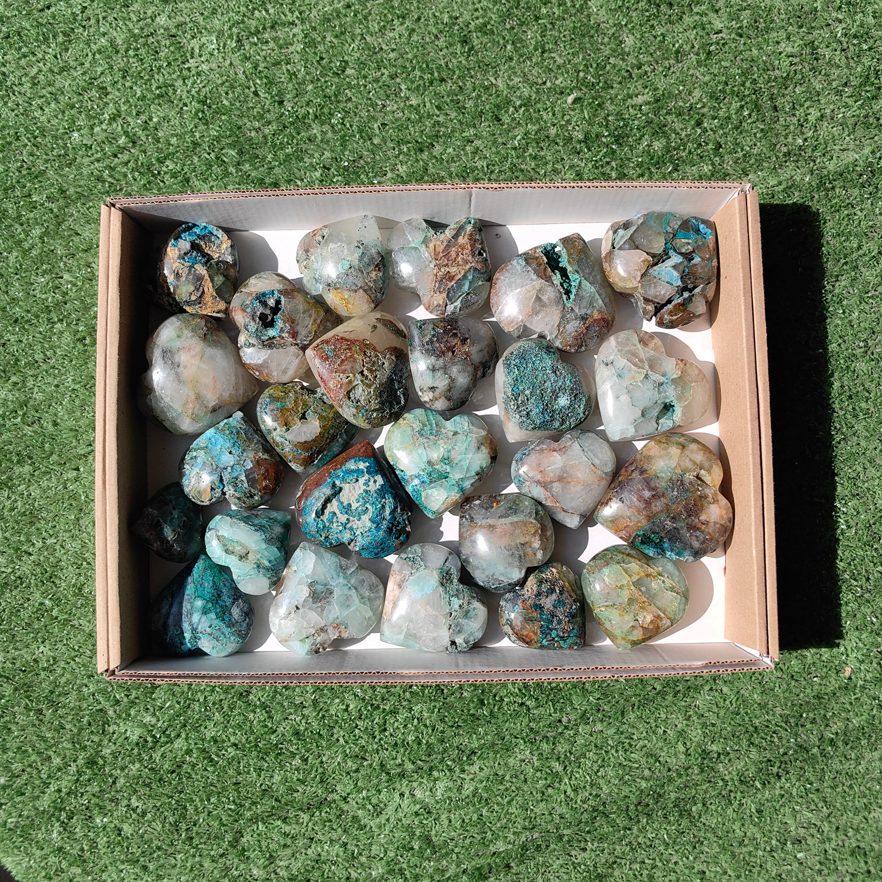 Lot 25 pcs Chrysocolla on quartz Palm
