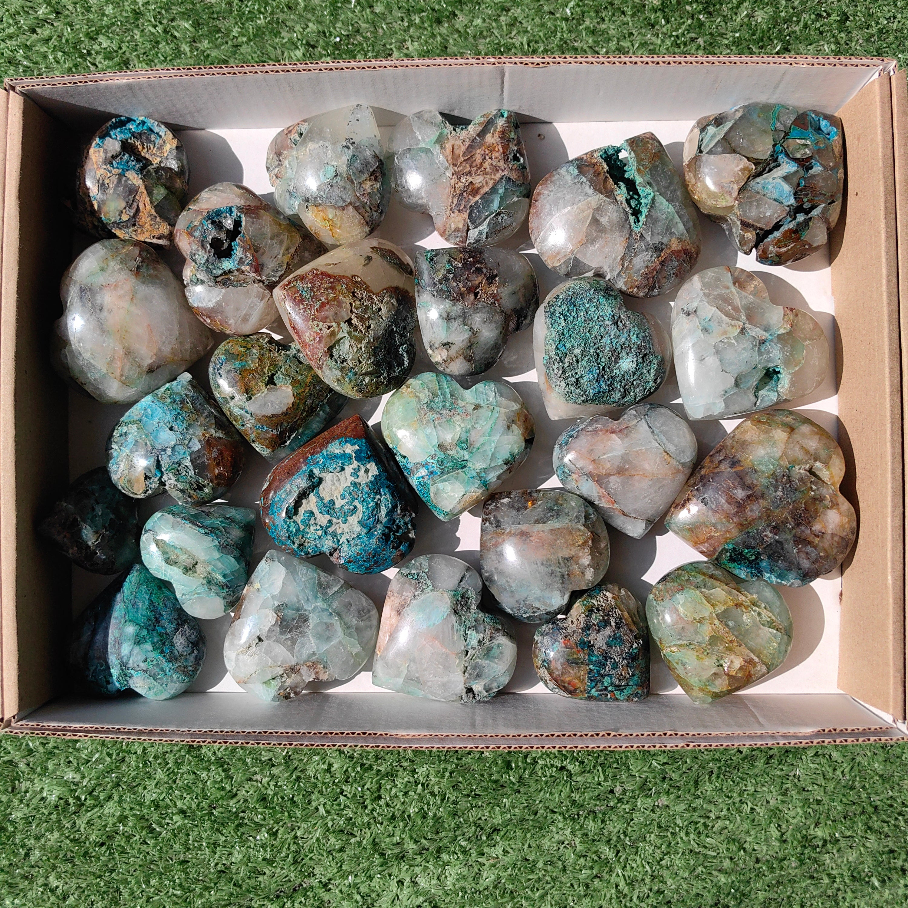 Lot 25 pcs Chrysocolla on quartz Palm