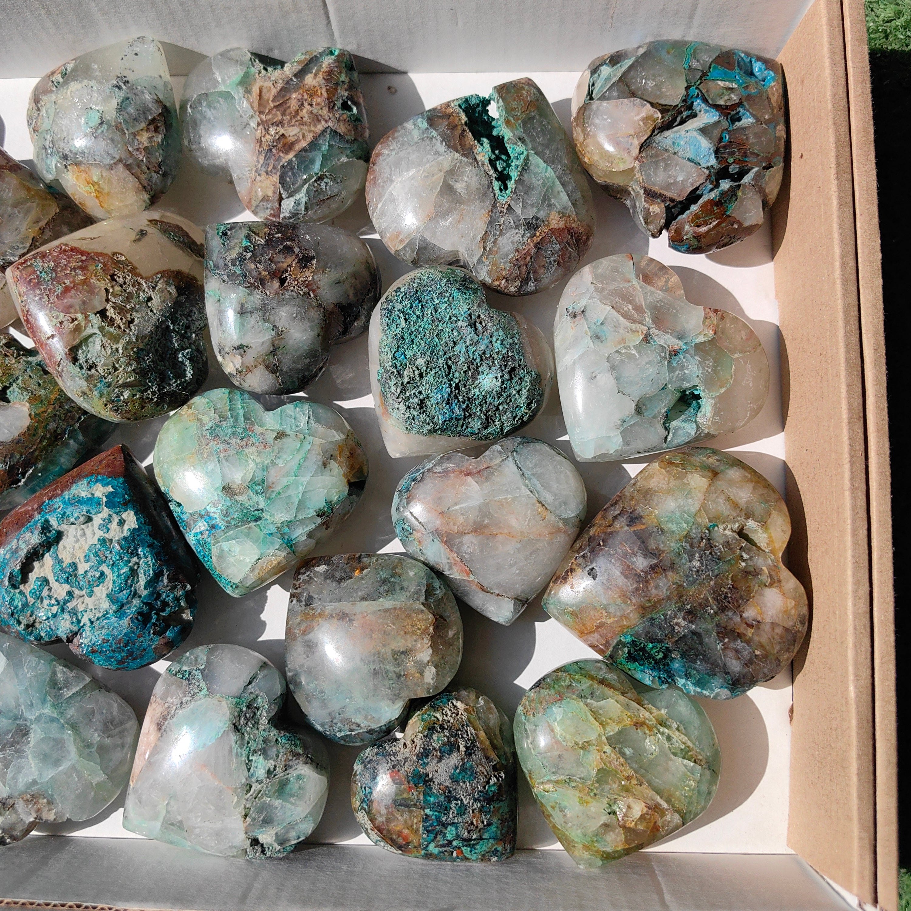 Lot 25 pcs Chrysocolla on quartz Palm