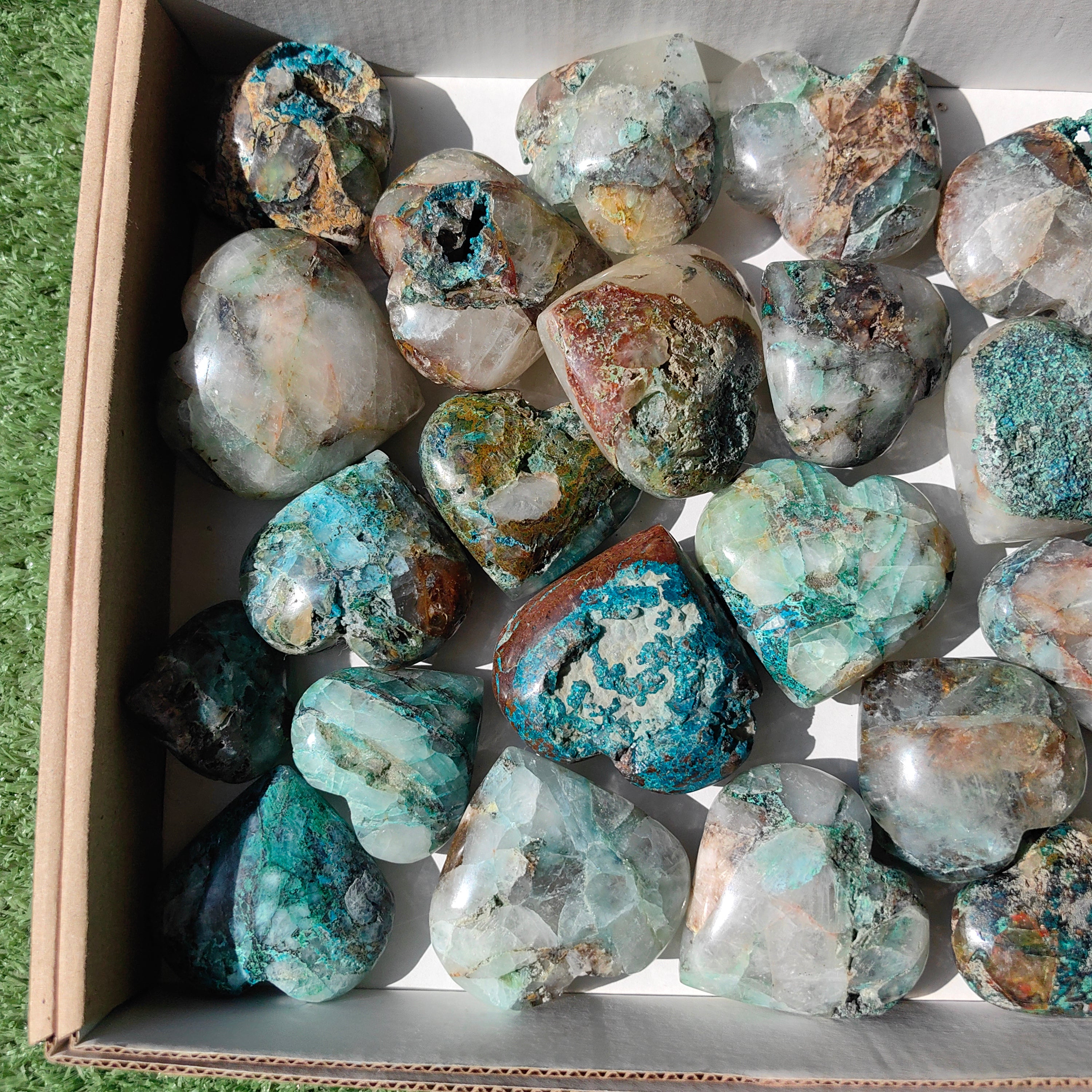 Lot 25 pcs Chrysocolla on quartz Palm