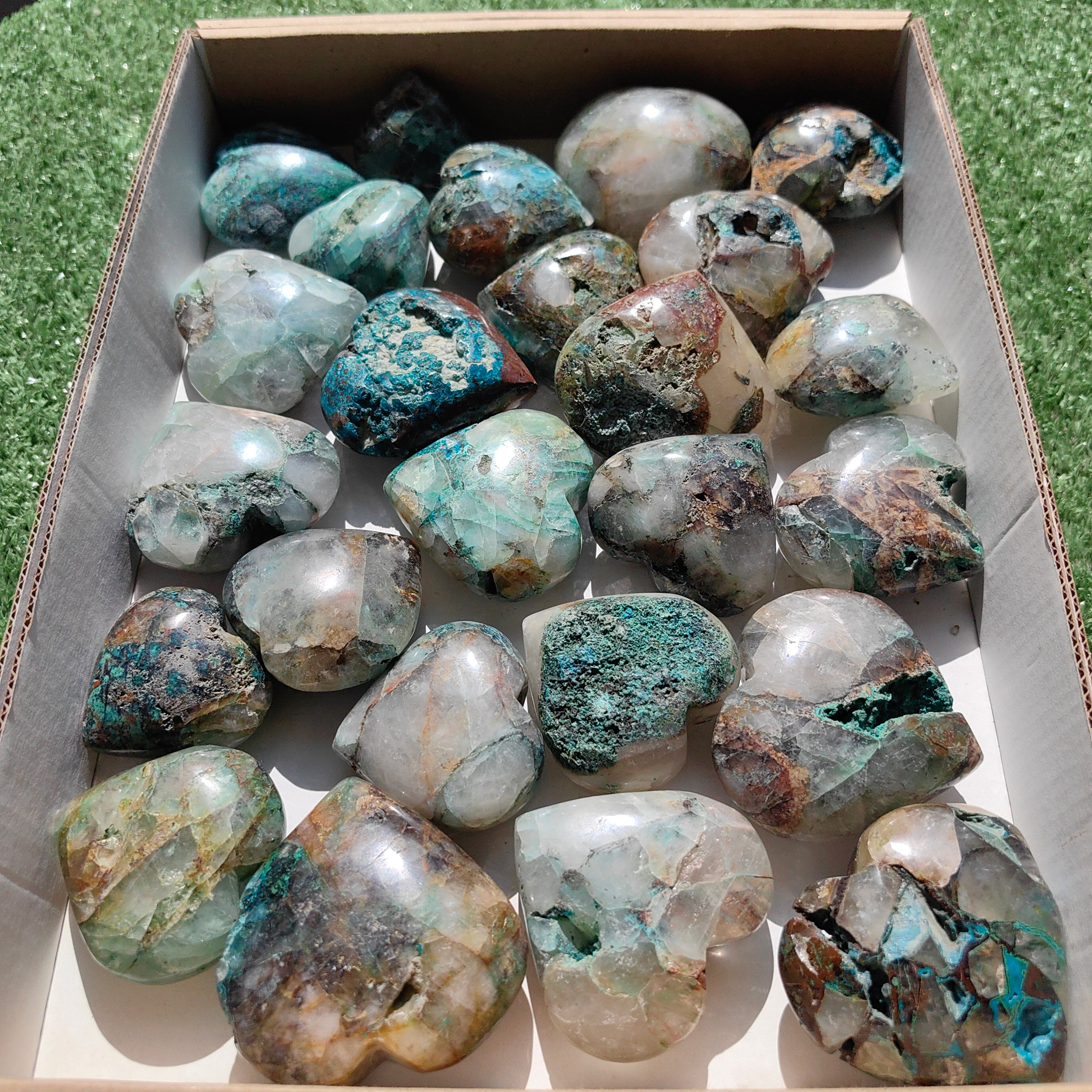 Lot 25 pcs Chrysocolla on quartz Palm
