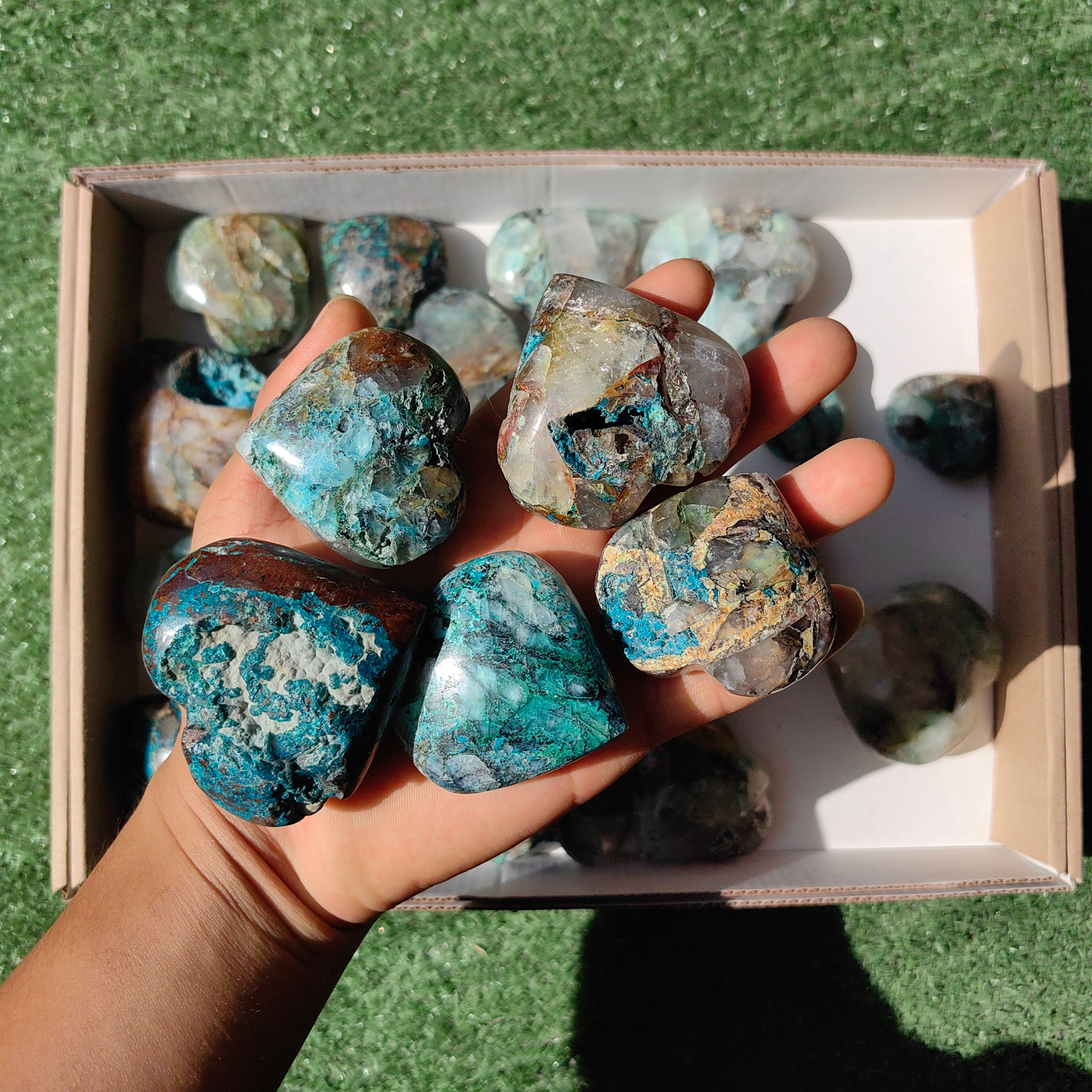 Lot 25 pcs Chrysocolla on quartz Palm