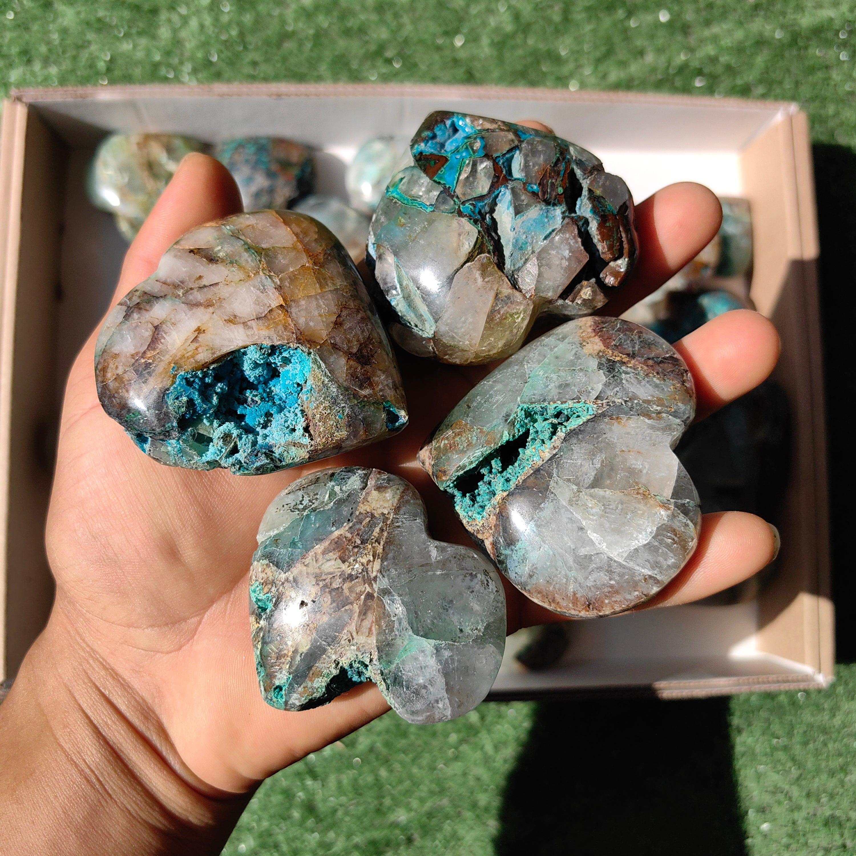 Lot 25 pcs Chrysocolla on quartz Palm
