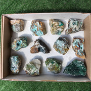 Lot 12 pcs Chrysocolla drusy Rough