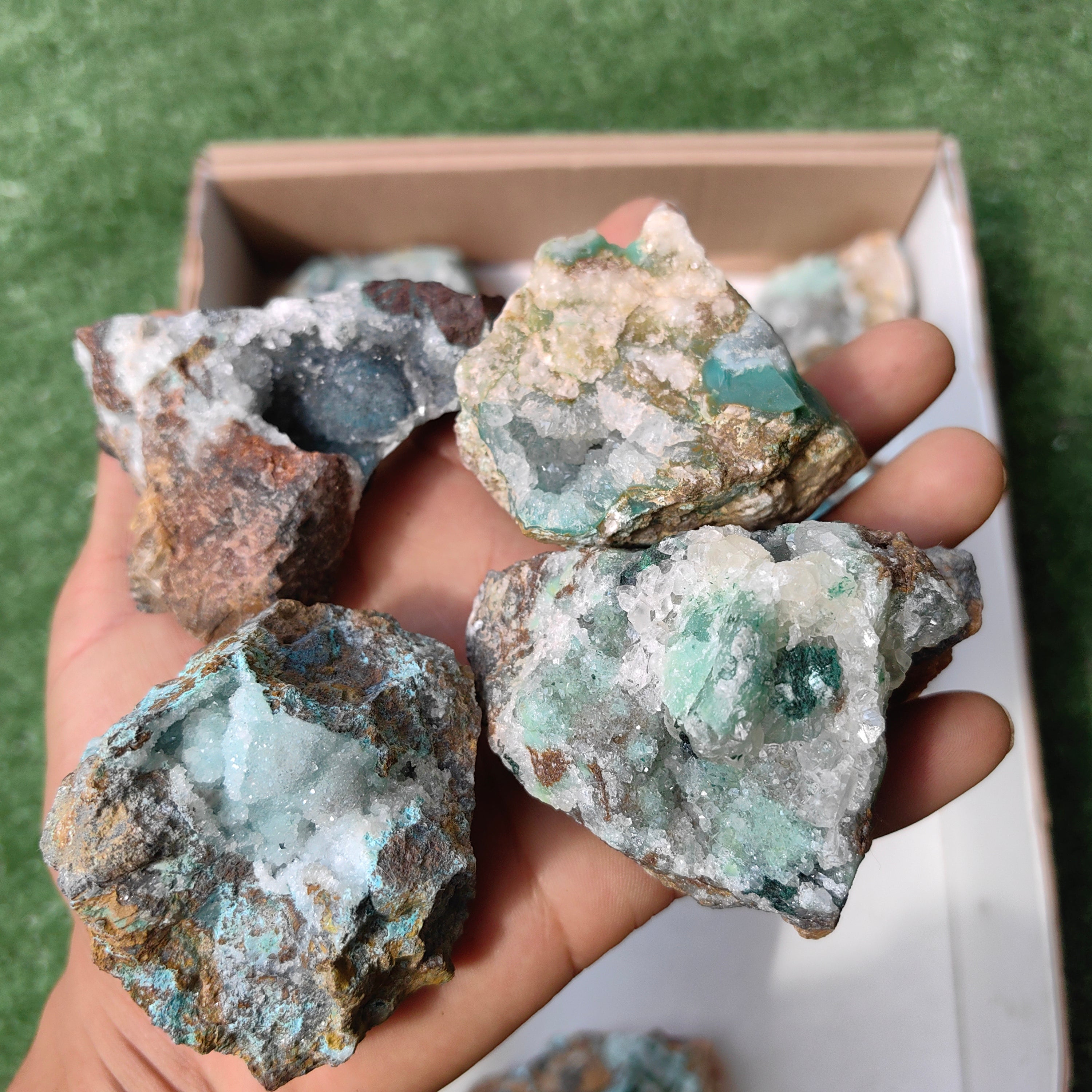 Lot 12 pcs Chrysocolla drusy Rough