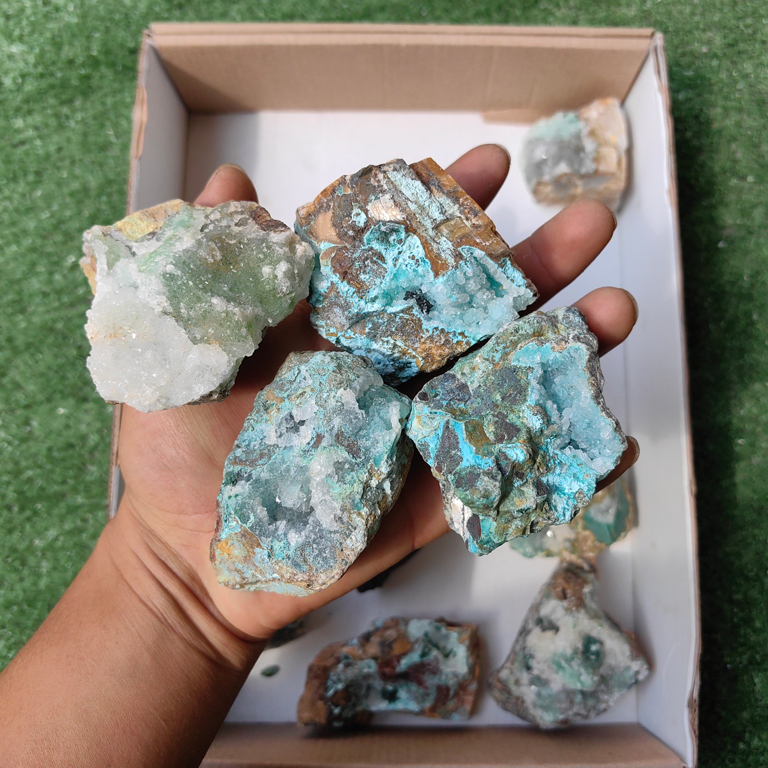 Lot 12 pcs Chrysocolla drusy Rough