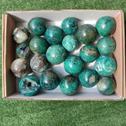 Lot 21 pcs Chrysocolla on Malachite and quartz
