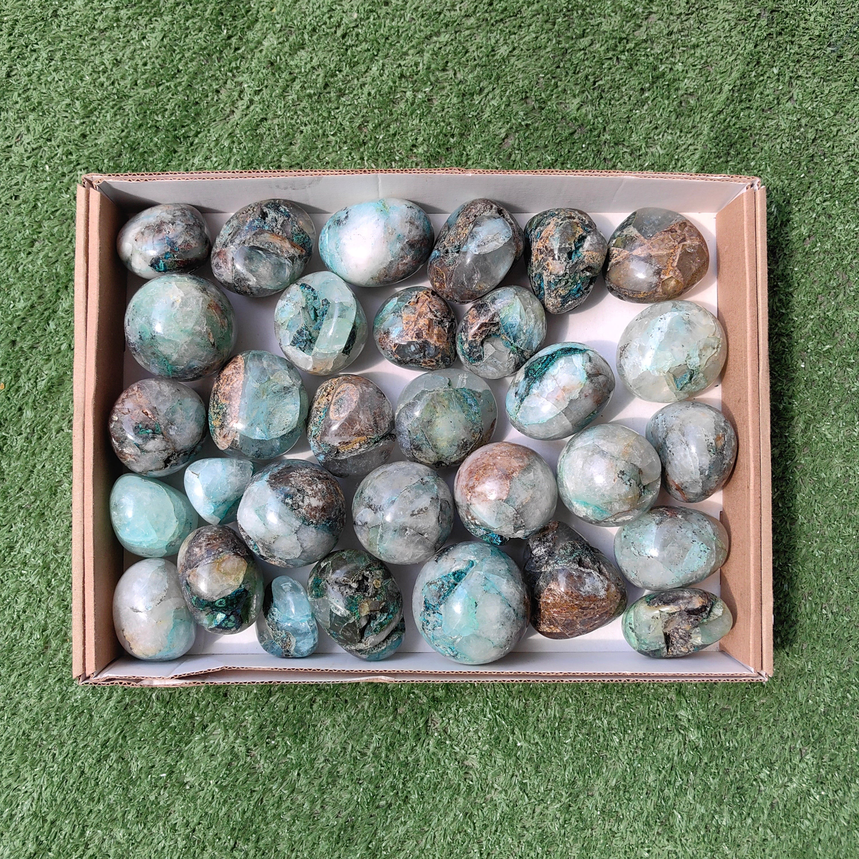 Lot 31 pcs Quantum quattro free form