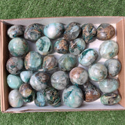 Lot 31 pcs Quantum quattro free form