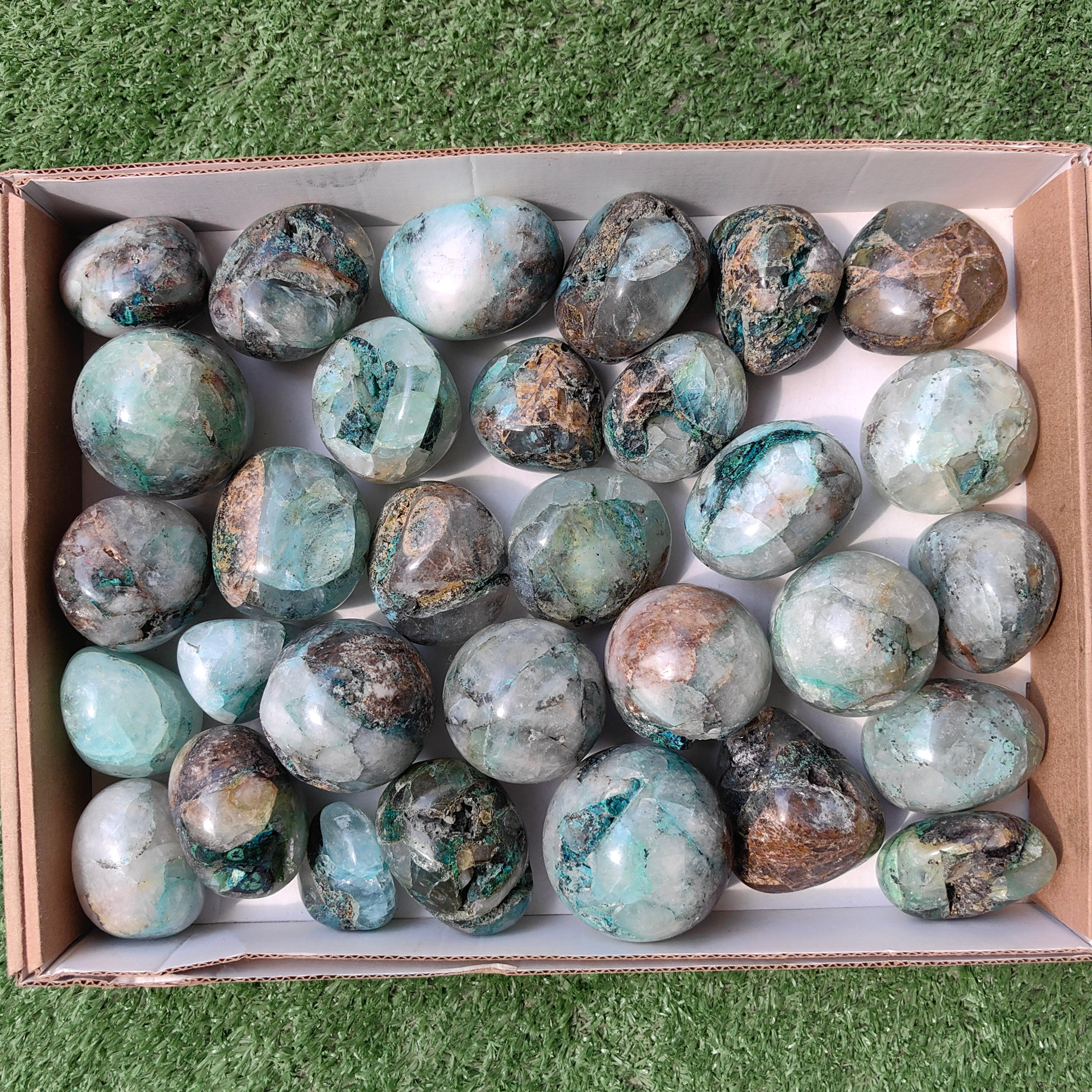 Lot 31 pcs Quantum quattro free form