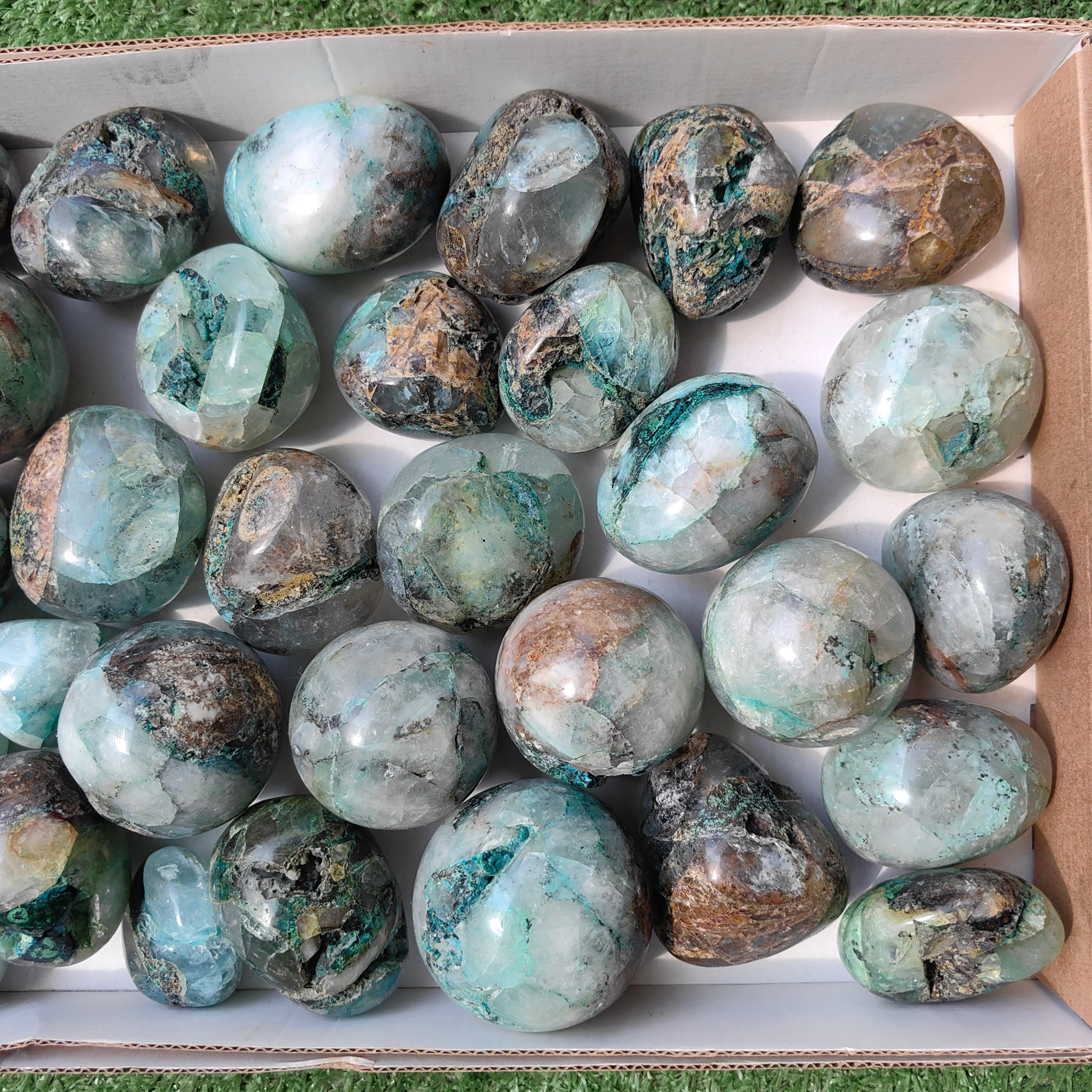 Lot 31 pcs Quantum quattro free form