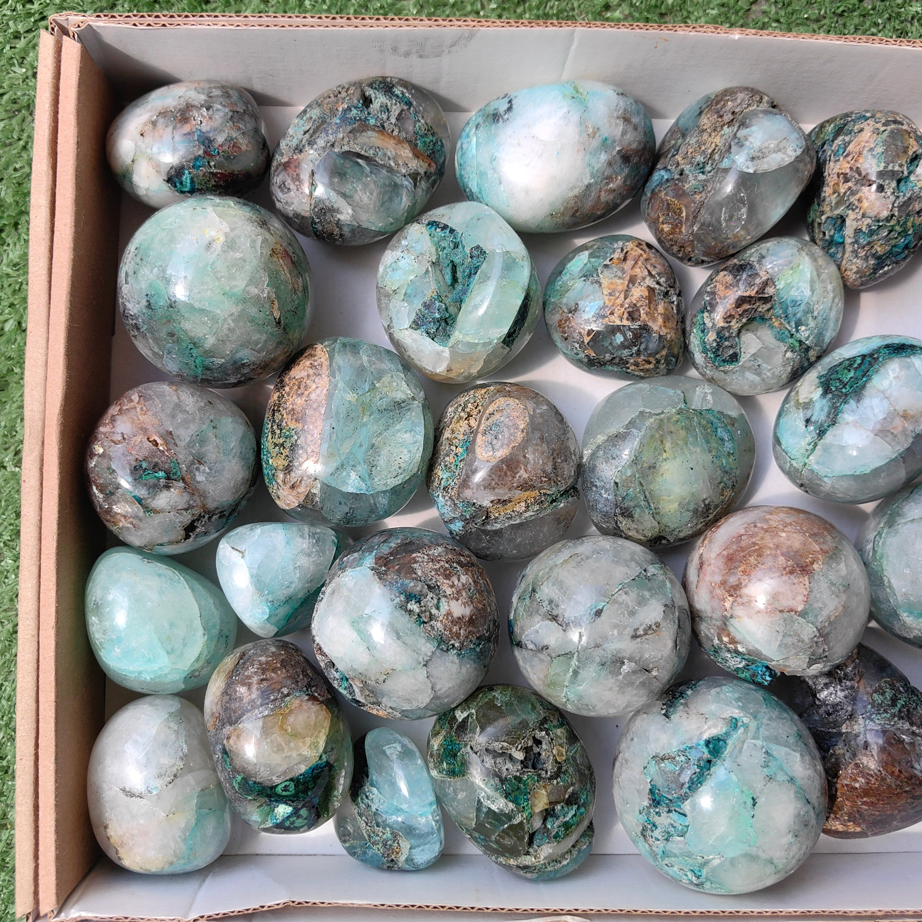 Lot 31 pcs Quantum quattro free form