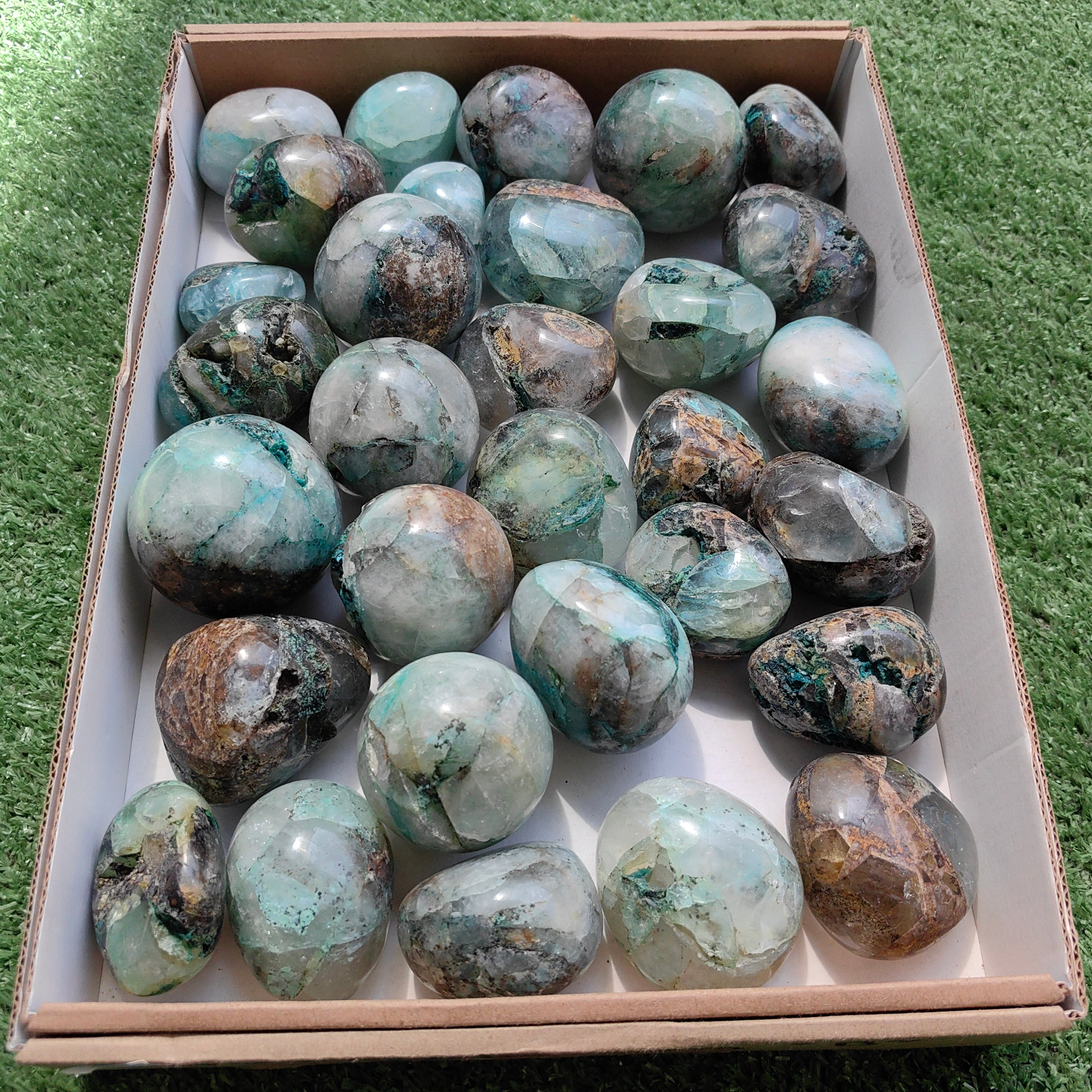 Lot 31 pcs Quantum quattro free form