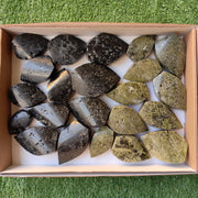 Lot 12 pcs Black Tourmaline Flame / 10 pcs Epidote Flame
