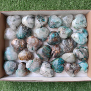 Lot 28 pcs Quantum quattro Heart