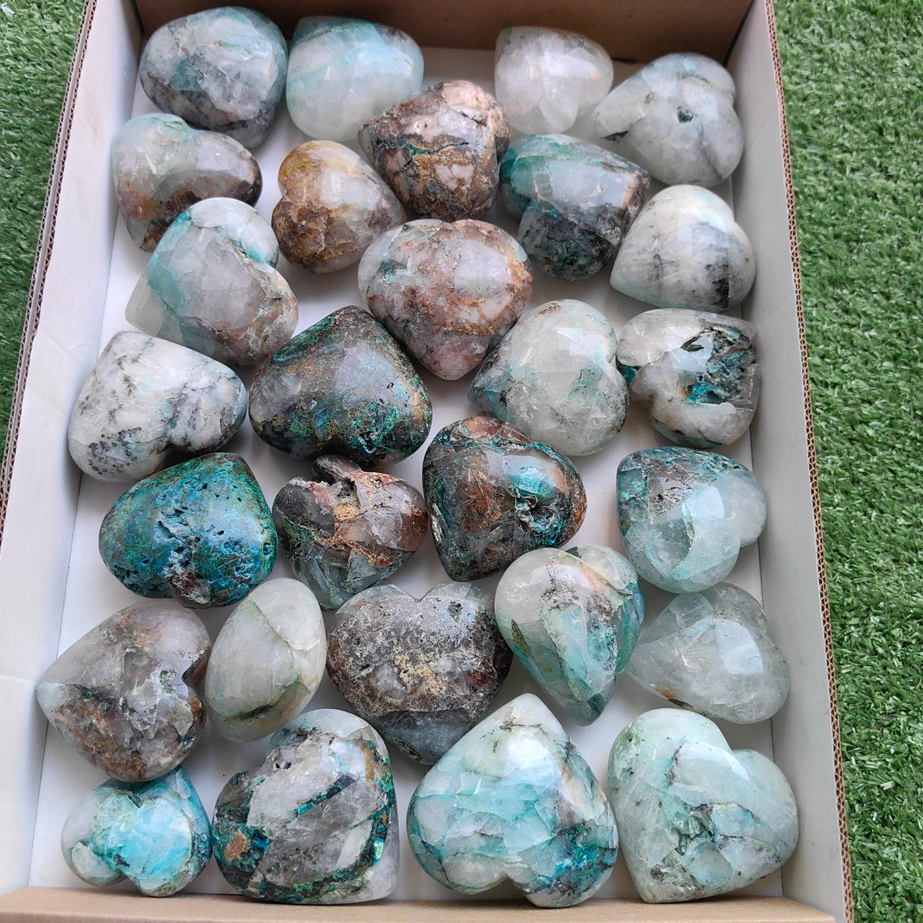 Lot 28 pcs Quantum quattro Heart