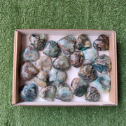 Lot 21 pcs Quantum quattro Heart