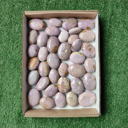 Lot 36 pcs Phosphosiderite palm