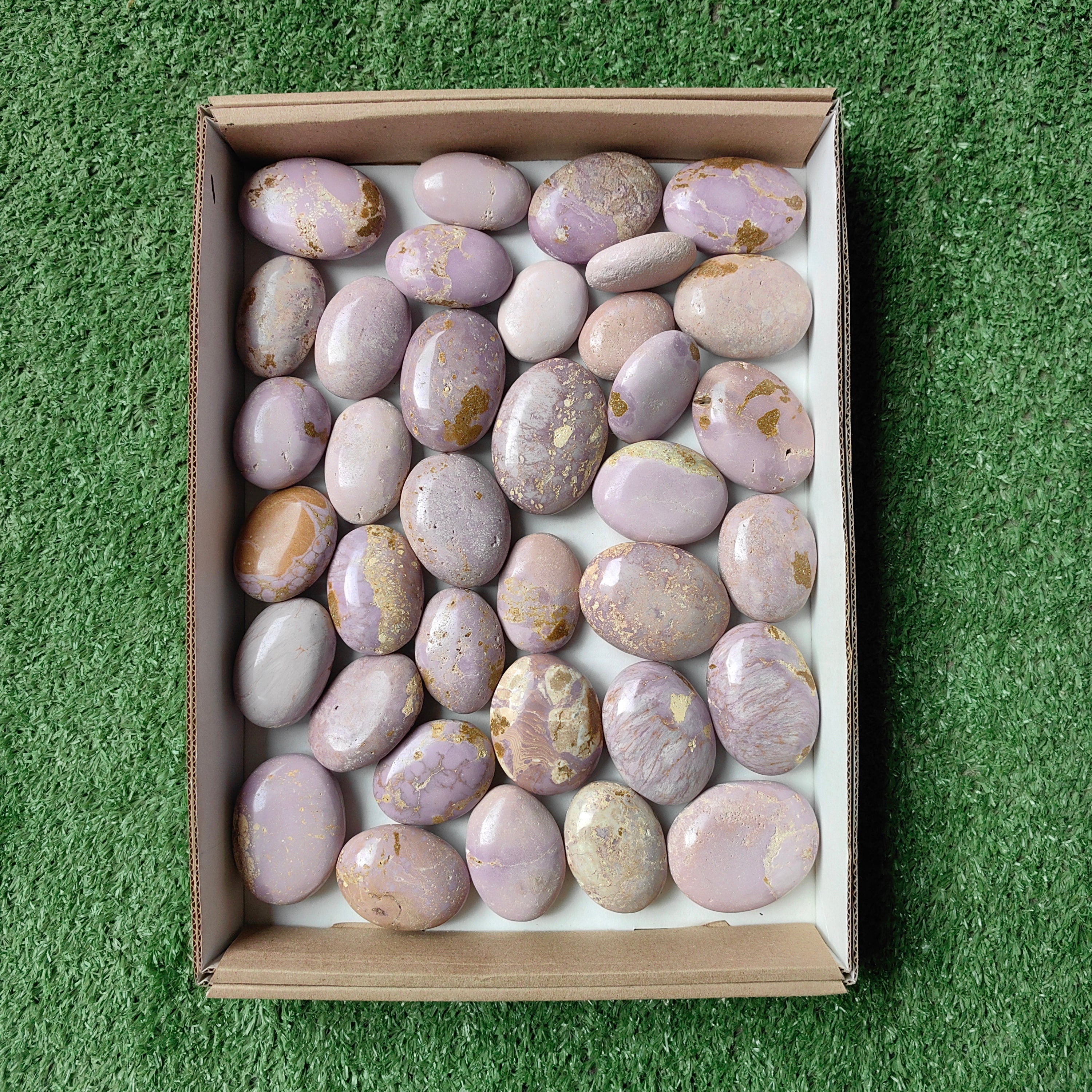 Lot 36 pcs Phosphosiderite palm