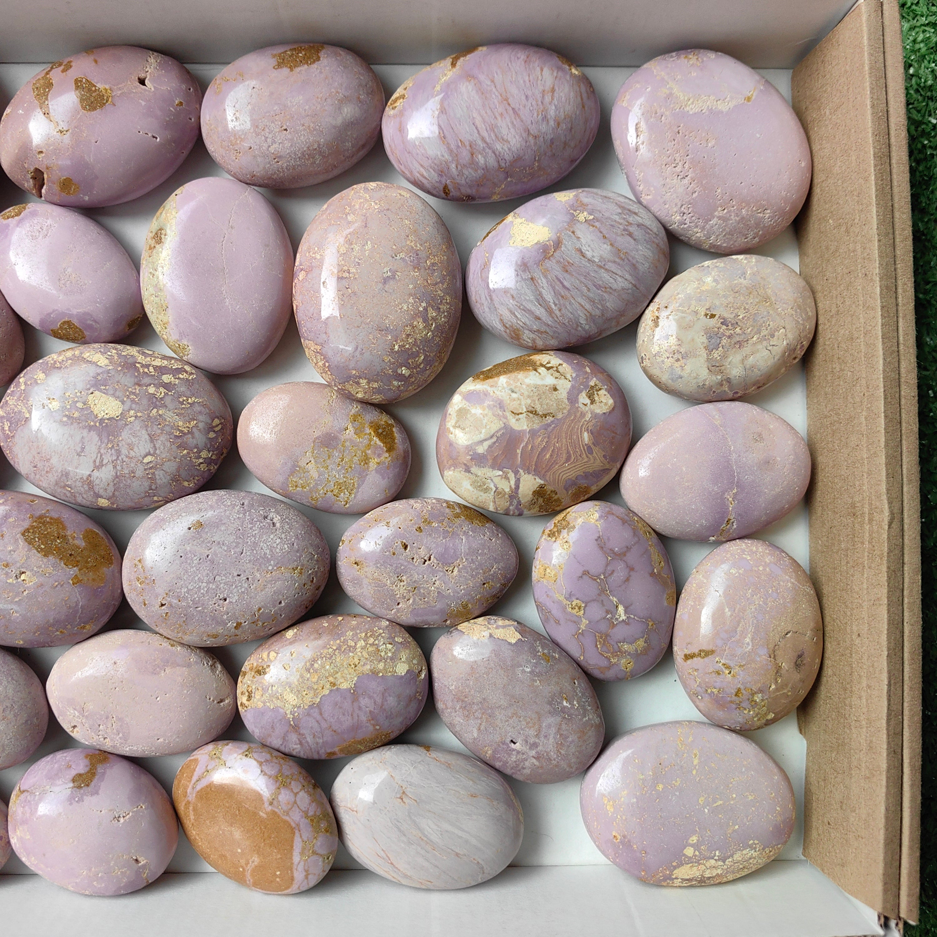 Lot 36 pcs Phosphosiderite palm
