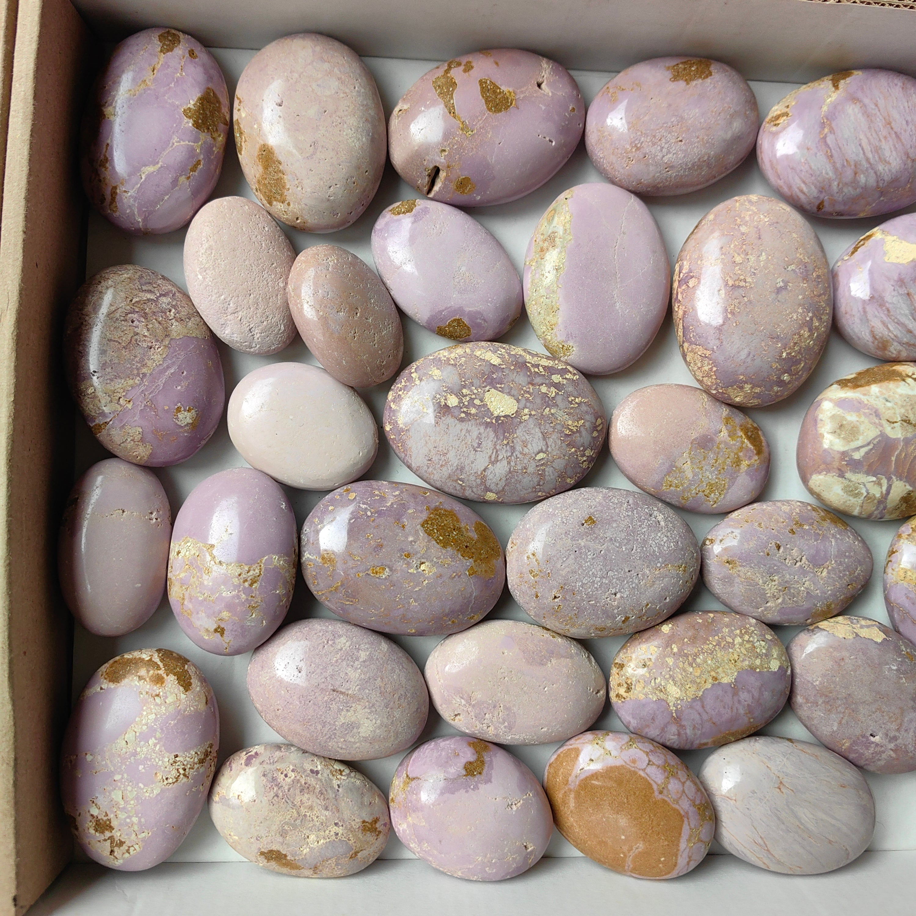 Lot 36 pcs Phosphosiderite palm