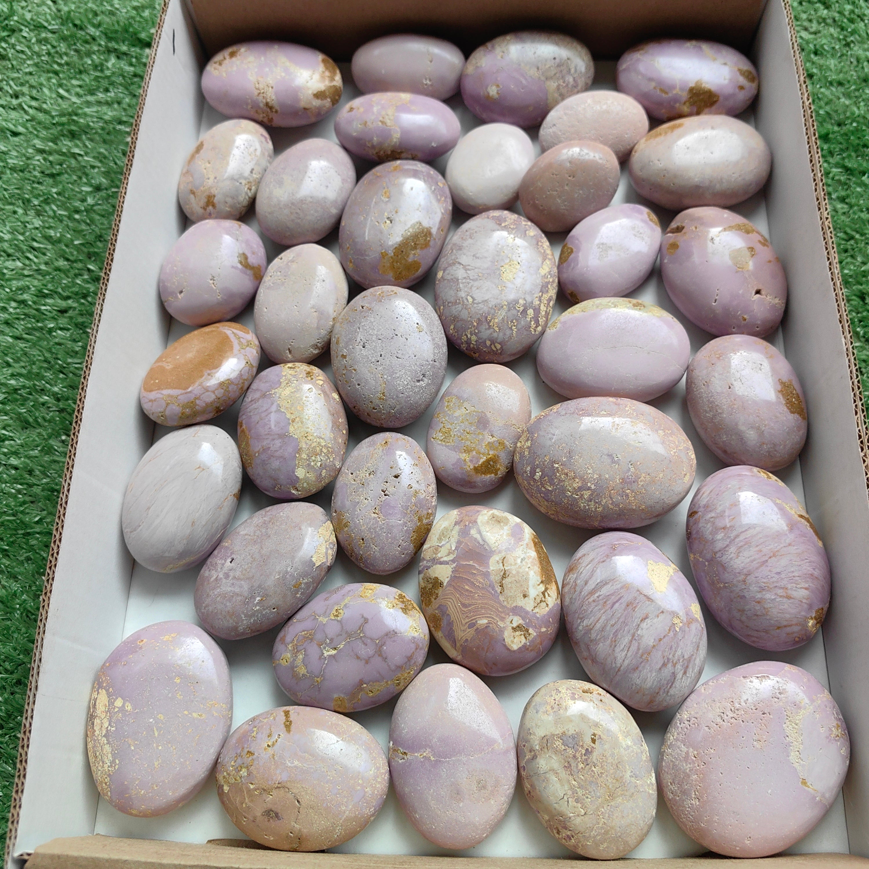 Lot 36 pcs Phosphosiderite palm