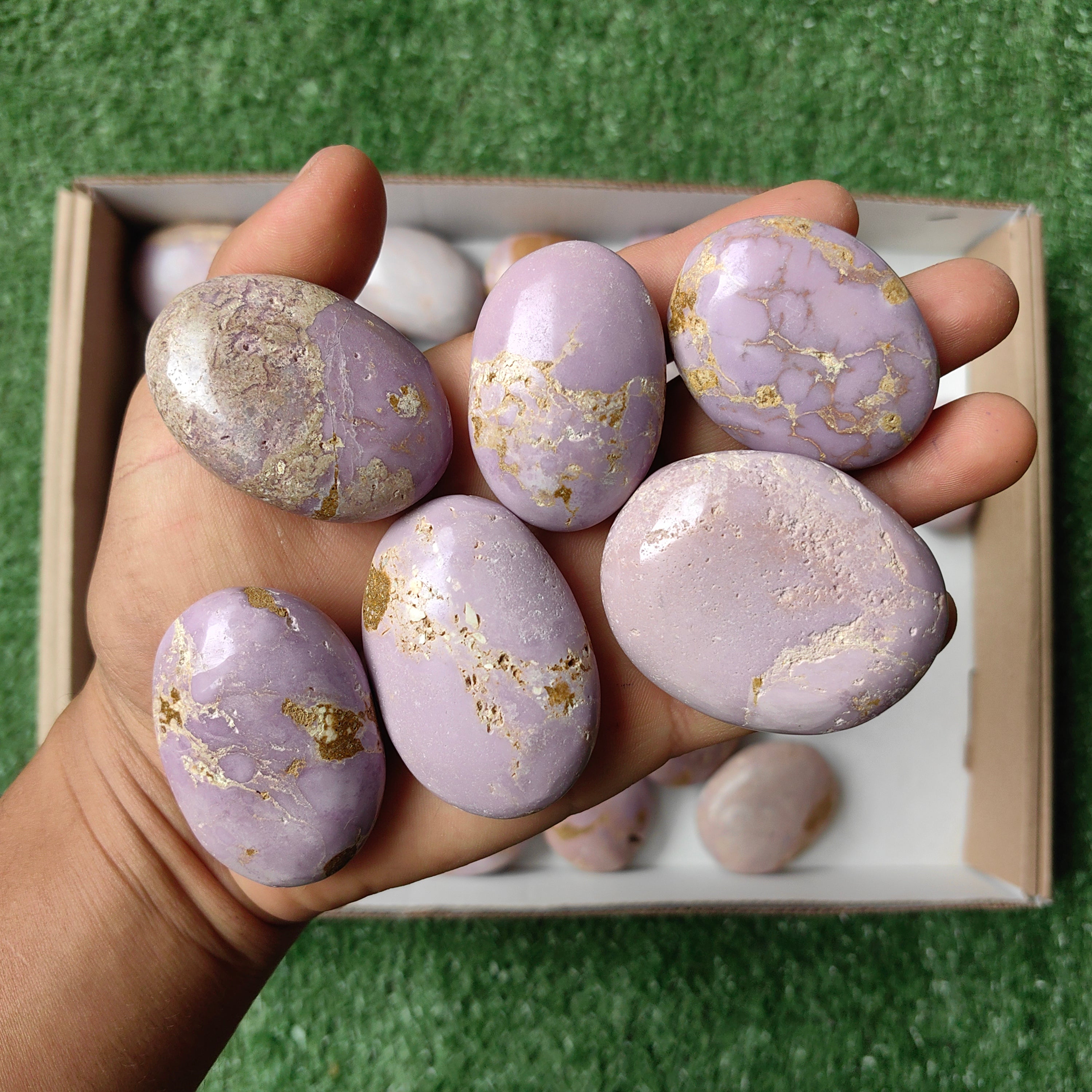 Lot 36 pcs Phosphosiderite palm