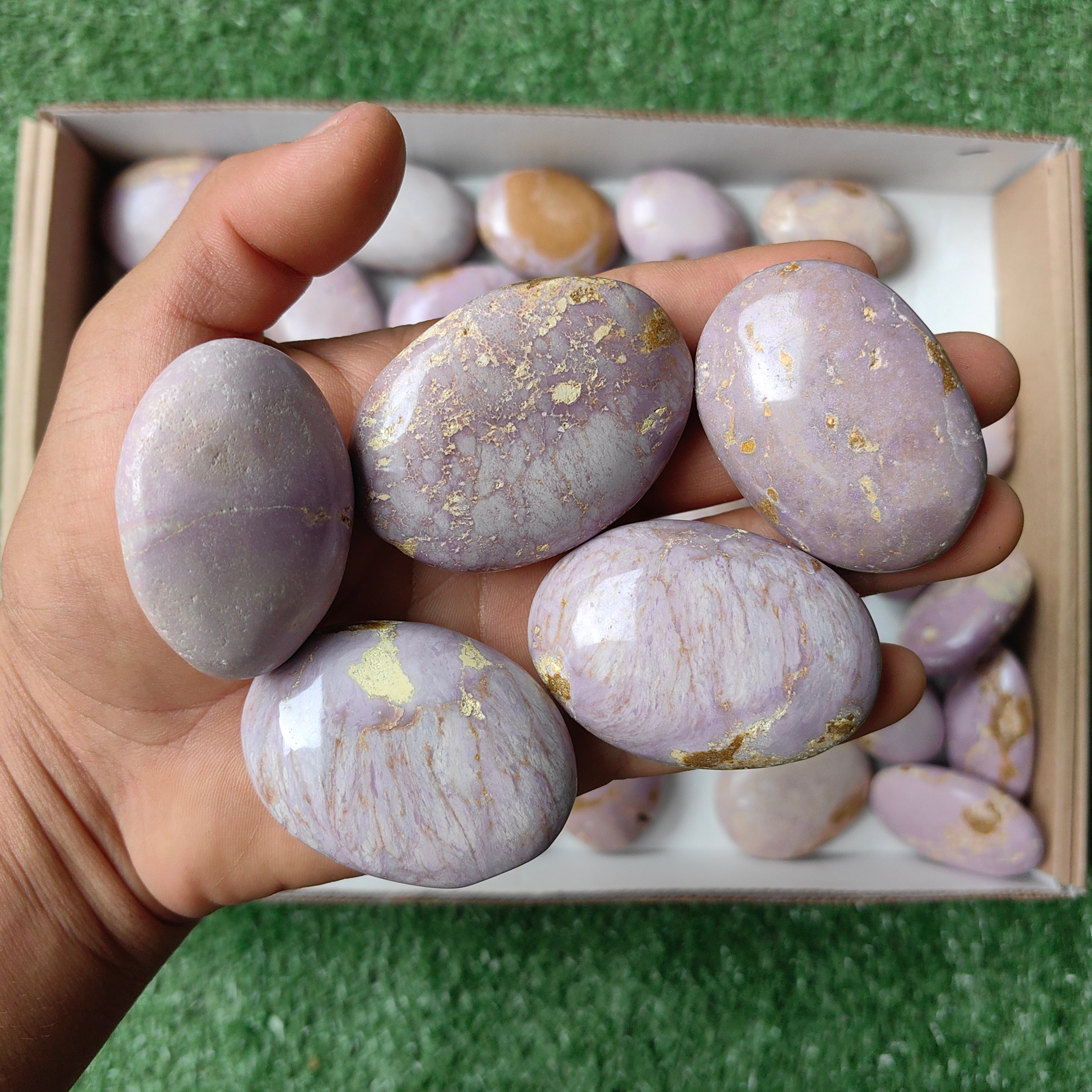 Lot 36 pcs Phosphosiderite palm