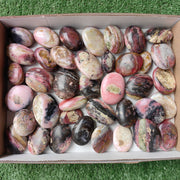 Lot 39 pcs Strawberry Pink Opal Palm