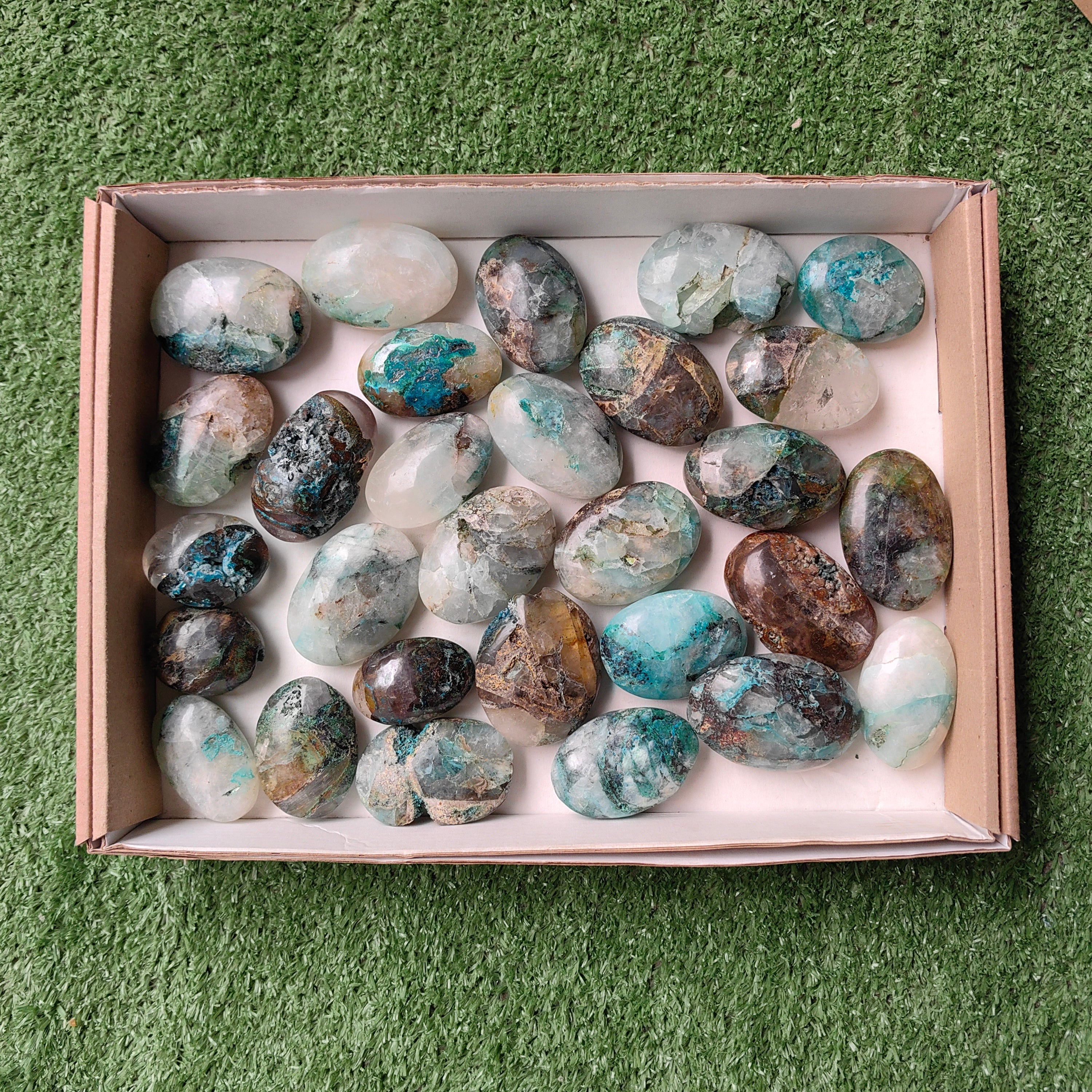 Lot 29 pcs Quantum quattro palm