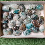 Lot 29 pcs Quantum quattro palm