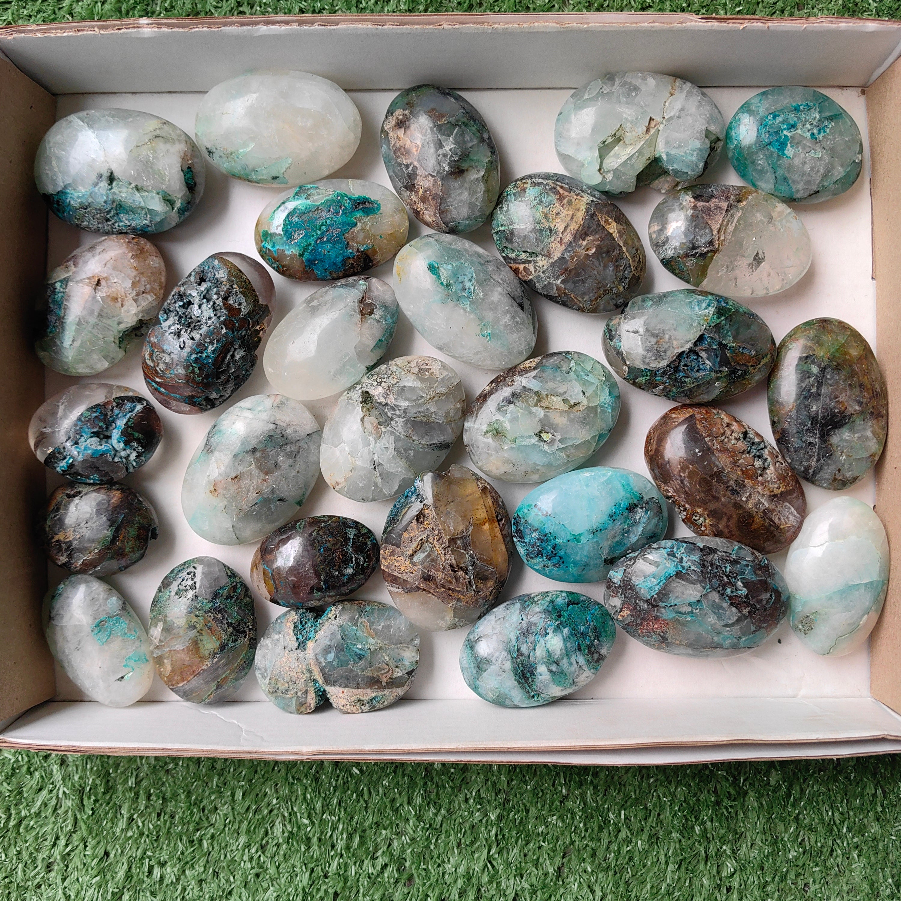 Lot 29 pcs Quantum quattro palm