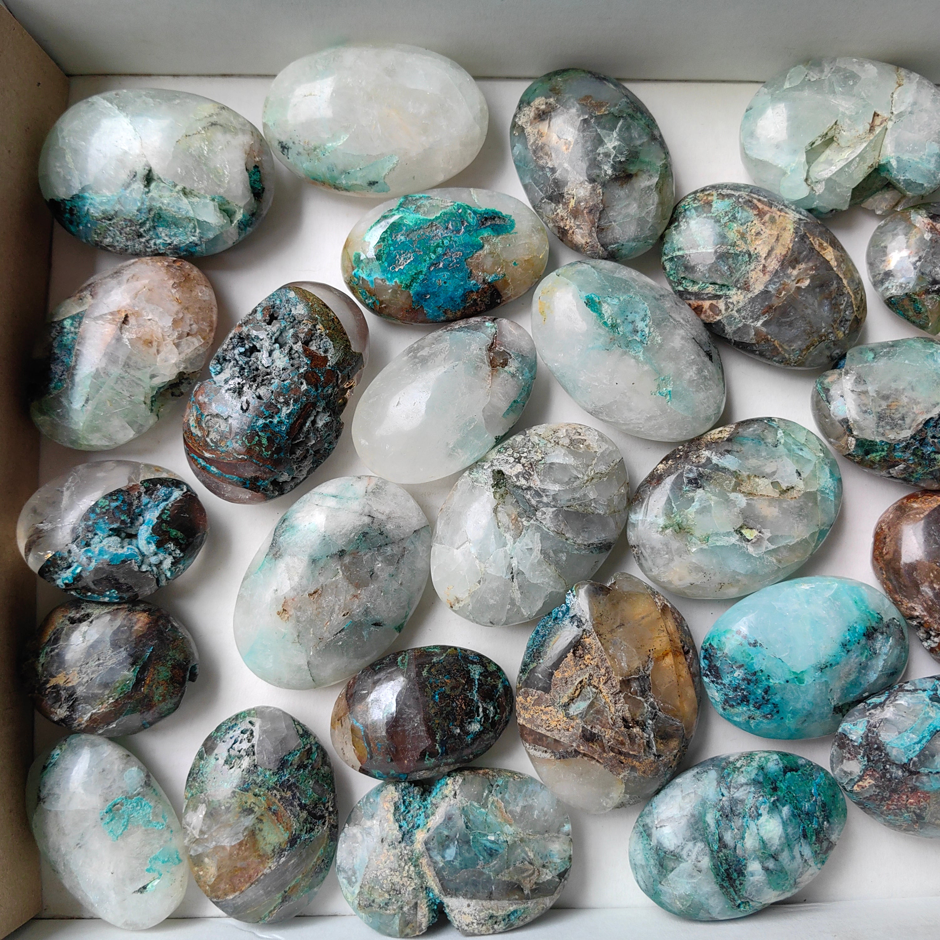 Lot 29 pcs Quantum quattro palm