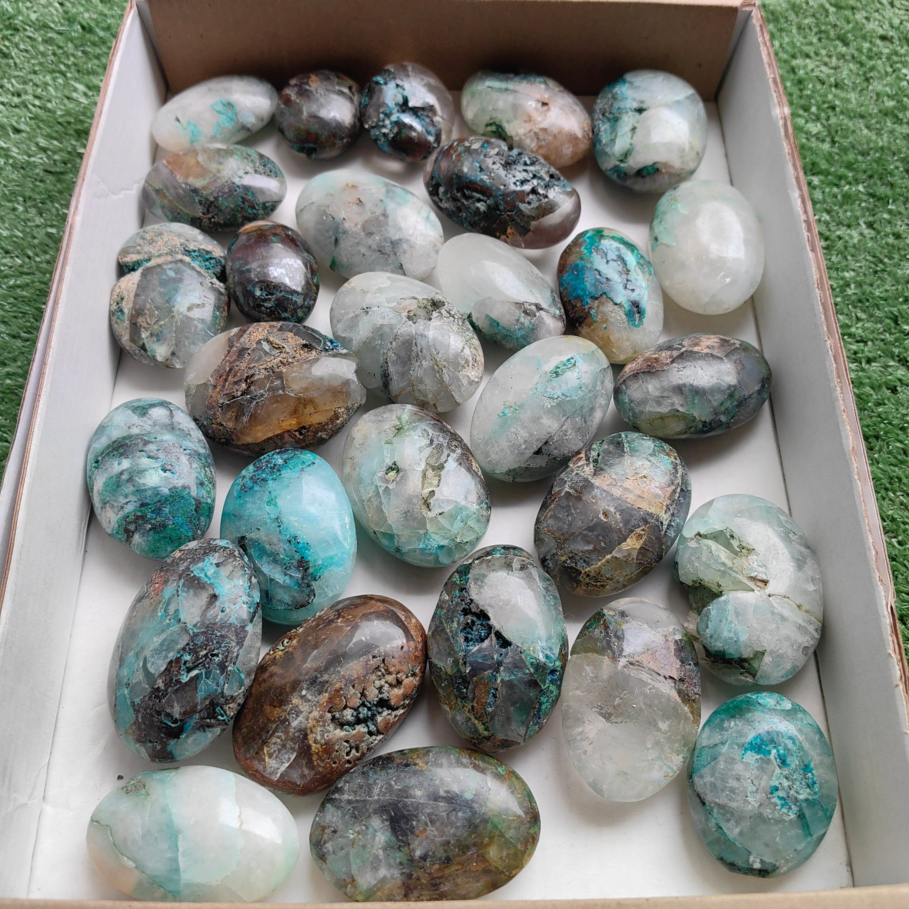 Lot 29 pcs Quantum quattro palm
