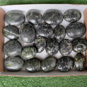 Lot 20 pcs Nefrite palm
